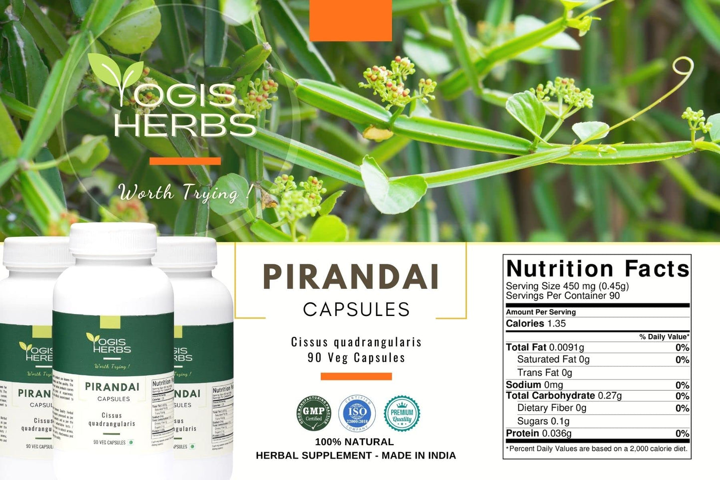 YOGIS HERBS Pirandai (Cissus Quadrangularis) Capsules, 90 Count