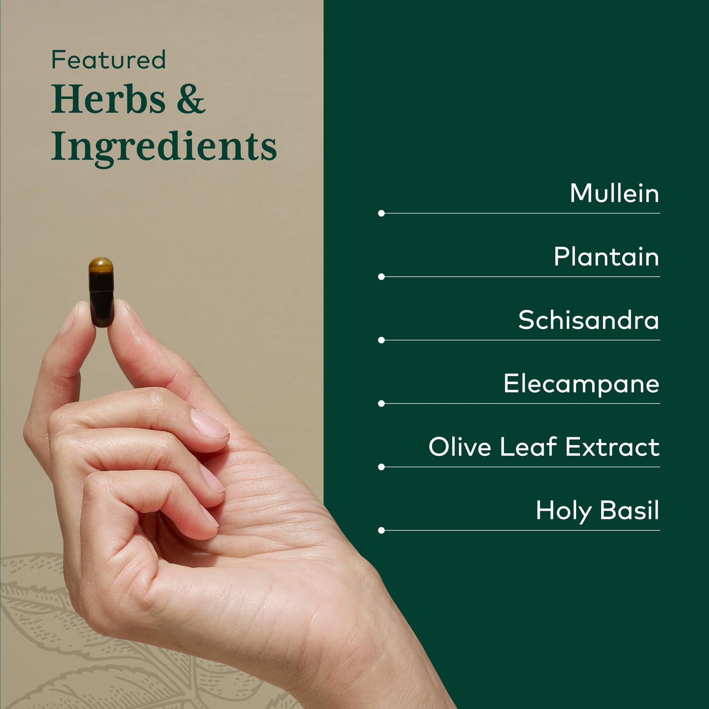 Gaia Herbs PRO Daily Lung Formula Capsules, 60 Count