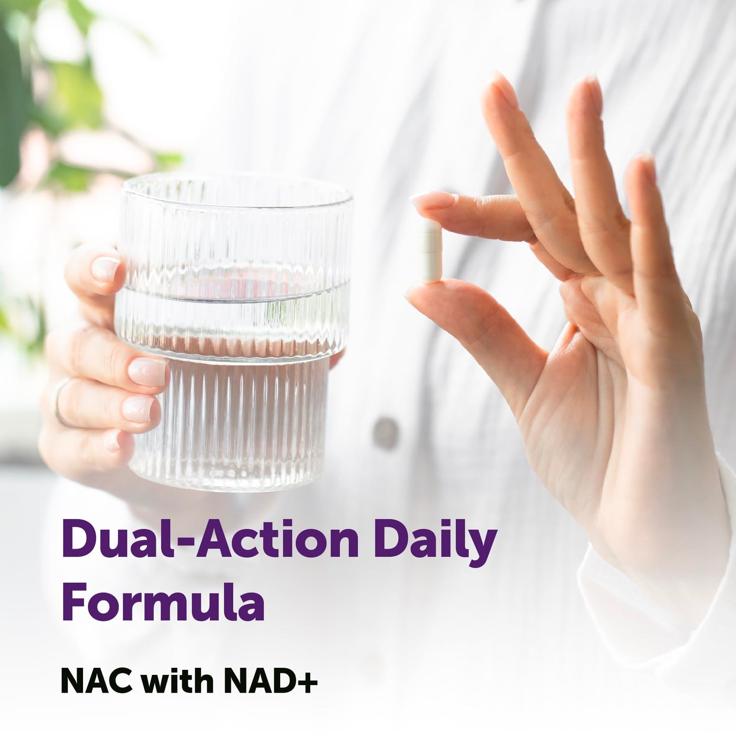 Micro Ingredients NAC with NAD+ 600 mg, 240 Capsules