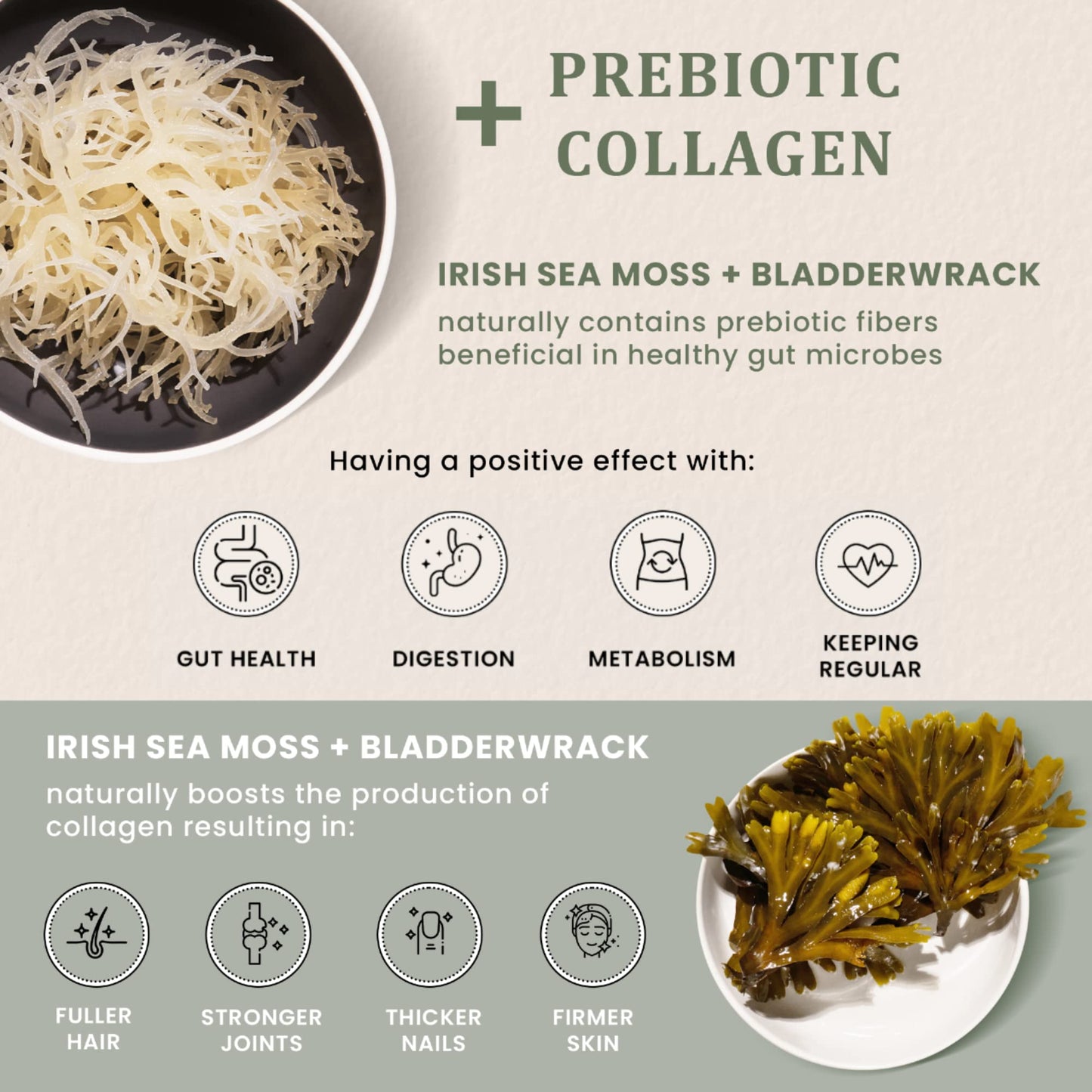 HAPPY FOX Irish Sea Moss Capsules with Burdock Root & Bladderwrack, 90 Capsules
