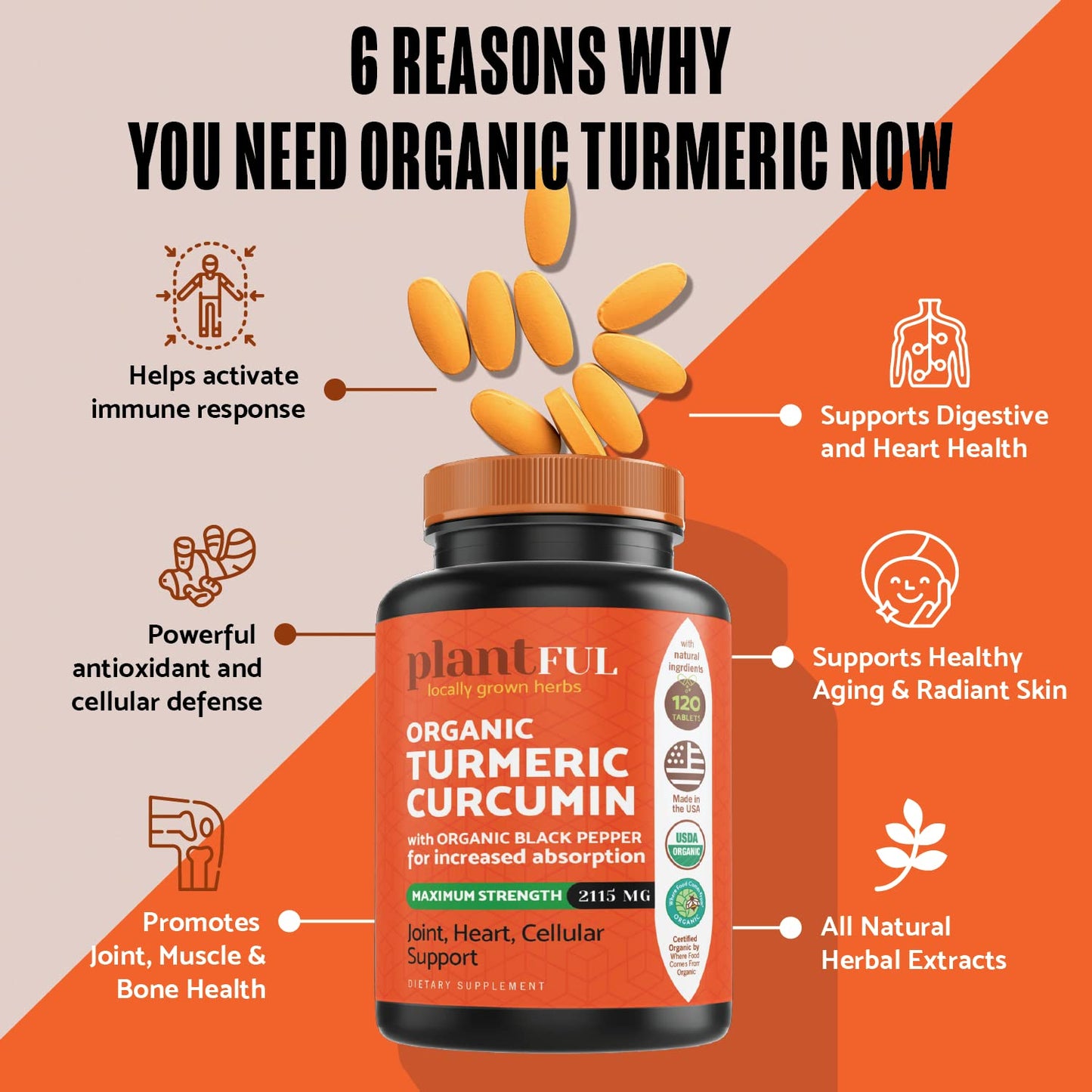 PLANTFUL RESEARCH Organic Turmeric Curcumin with Black Pepper Tablets, 120 Tablets