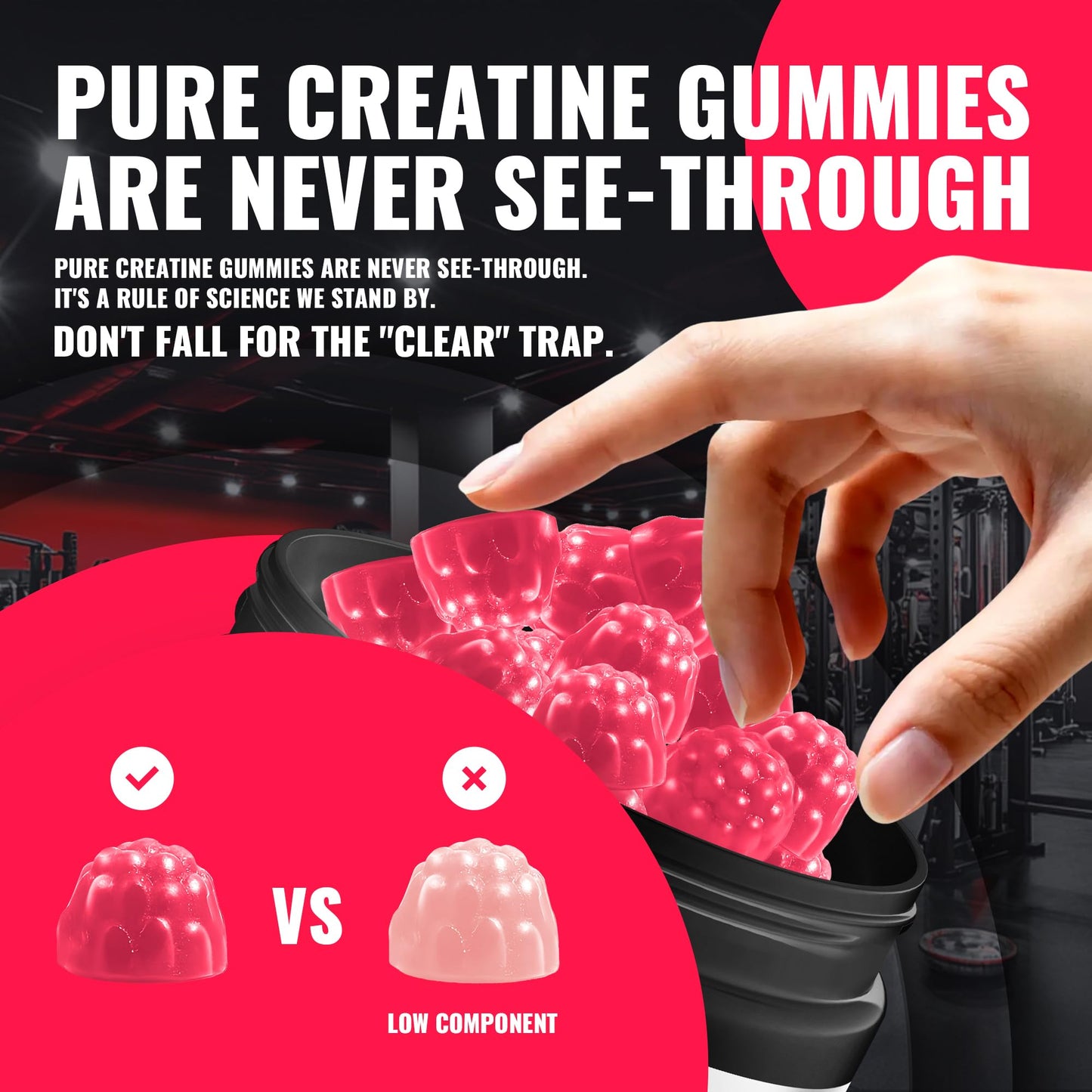 Natures Aid NSF Certified Creatine Monohydrate Gummies, 135 Count
