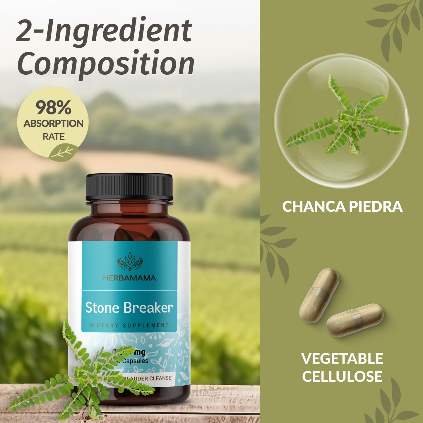 HERBAMAMA Chanca Piedra Stone Breaker Capsules 1200mg, Kidney Stone Breaker, Gallbladder Cleanse & Urinary Tract Support, Vegan, Non-GMO Kidney Supplement, 200 Capsules