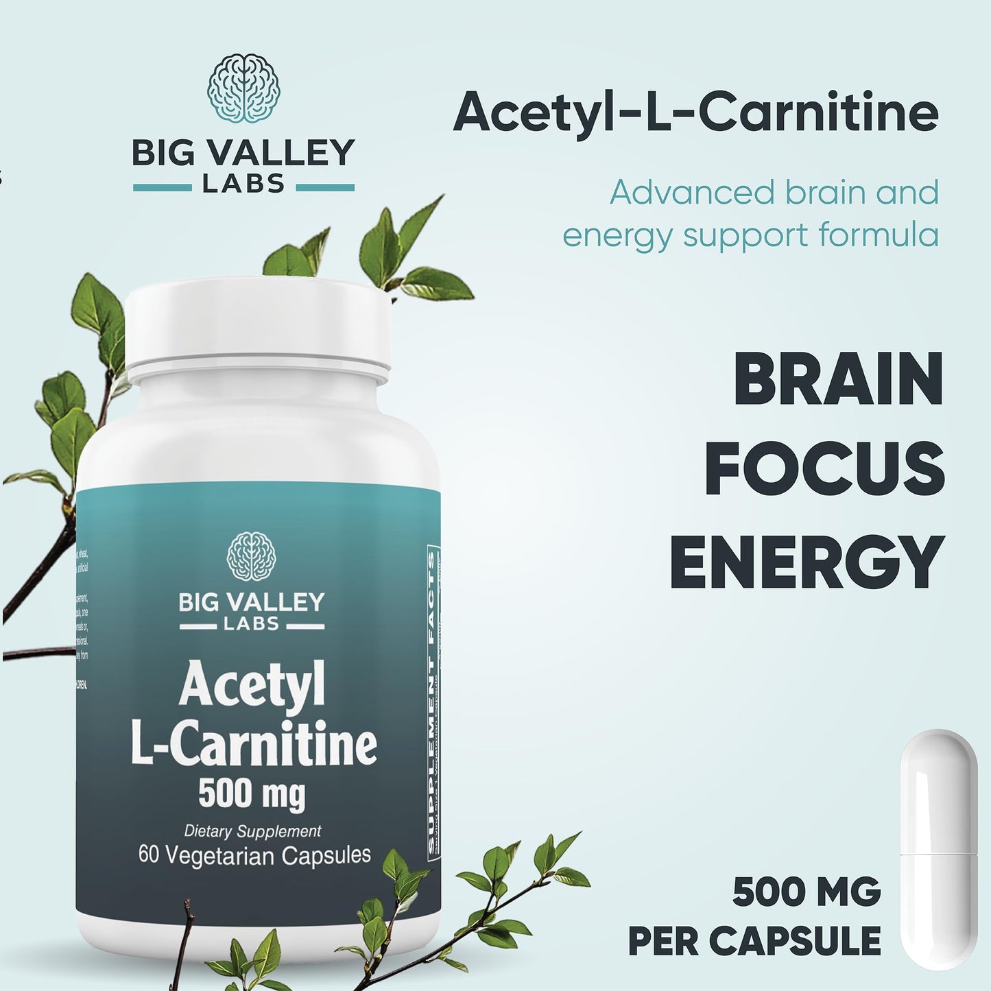 Big Valley Labs Acetyl-L-Carnitine 500 mg Capsule, 60 Count