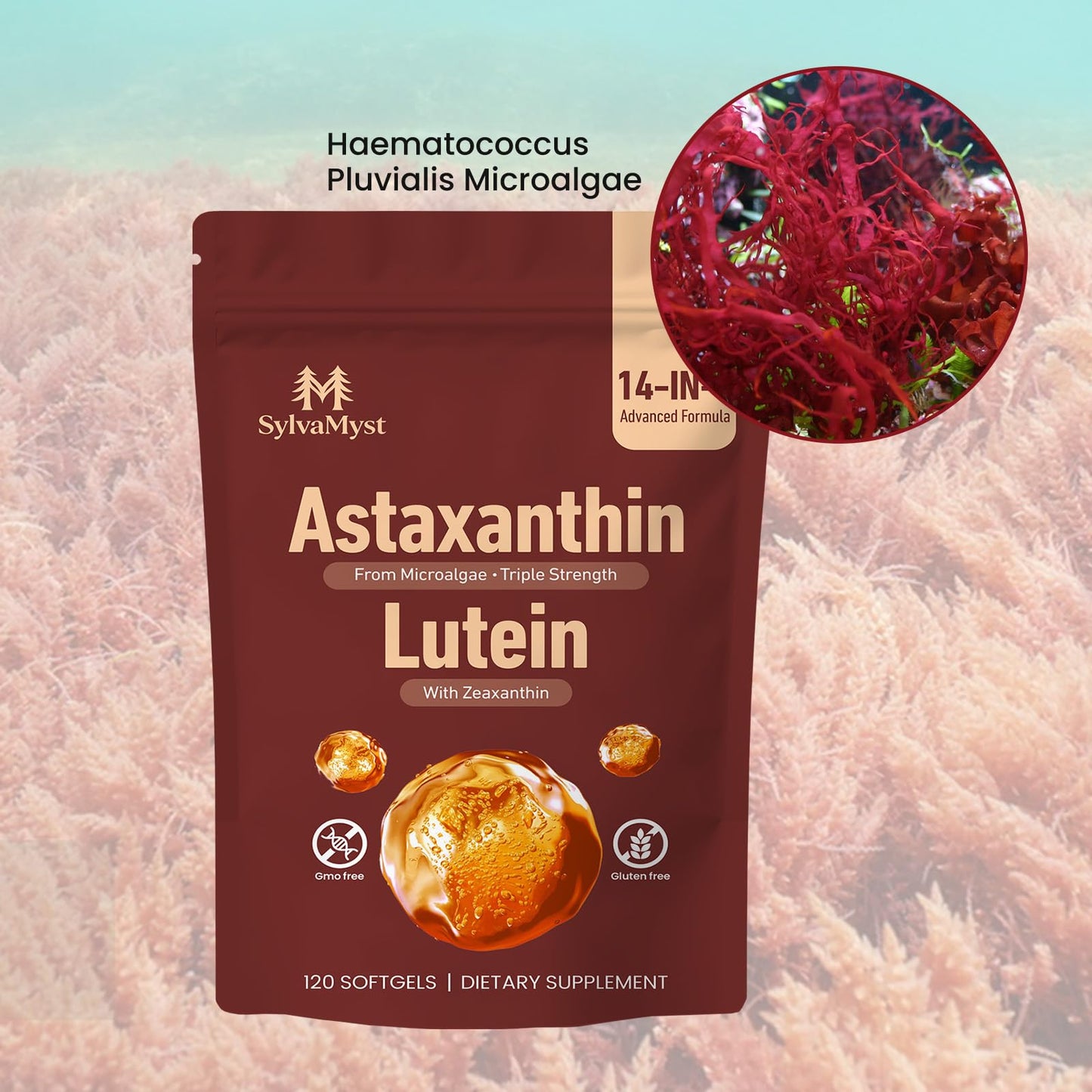 SylvaMyst Astaxanthin Softgels 12mg, 120 Count