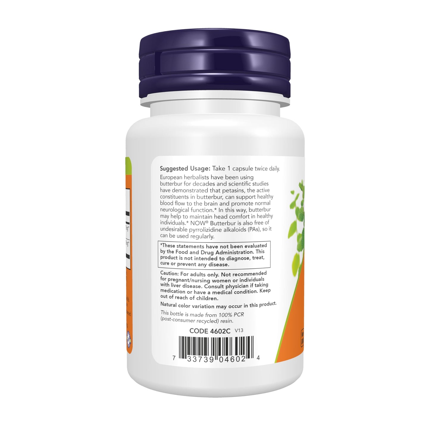 NOW Foods Butterbur with Feverfew Neurological Support Capsule 60 Capsules