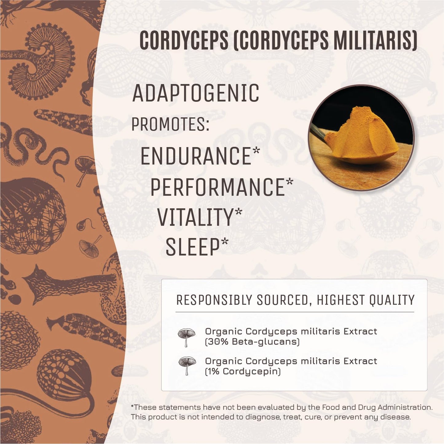Hamilton's Crucial Cordyceps Powder 3.53 oz