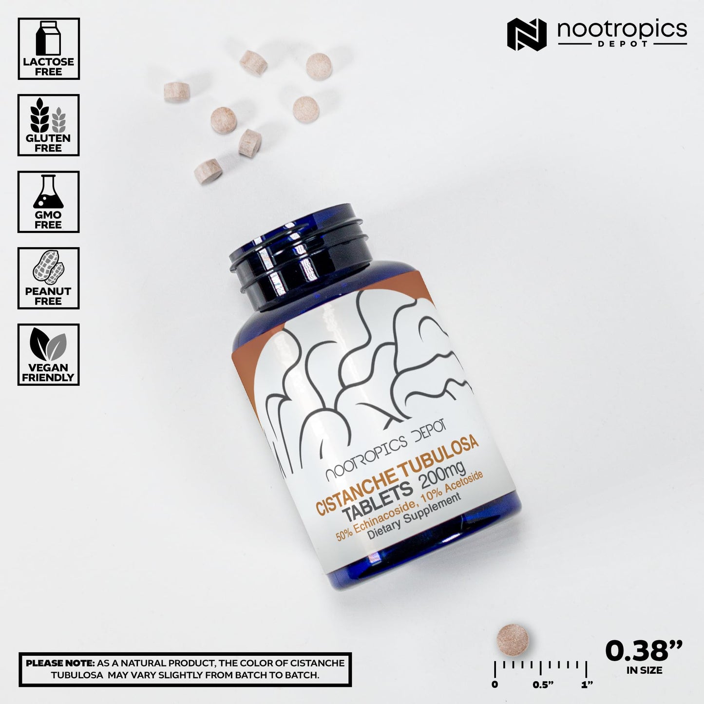 Nootropics Depot Cistanche tubulosa Tablets 60 Count