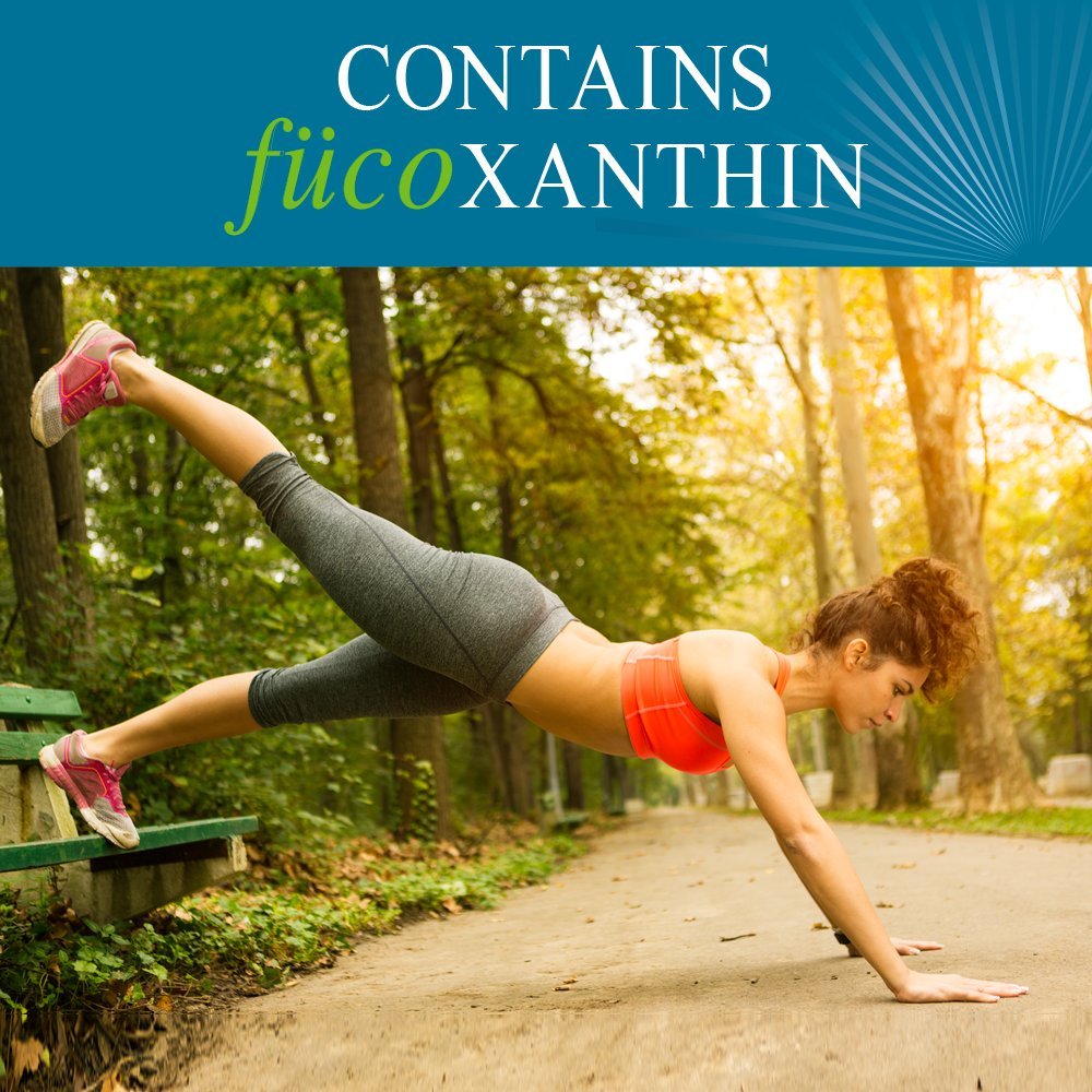 Garden of Life Fucoxanthin Supplements FucoThin Diet Pill for Weight Loss Softgel 90 Count