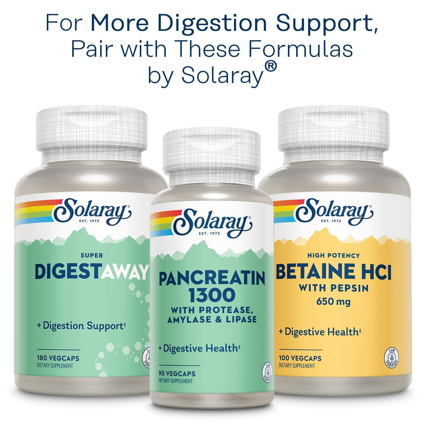 Solaray Mastic Gum Extract 500 mg Capsule, 45 Count
