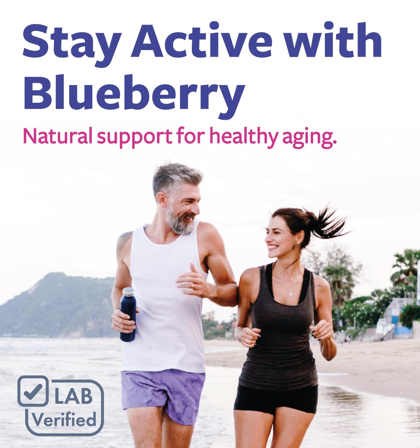 PURE CO Blueberry Extract Capsules 60 Count