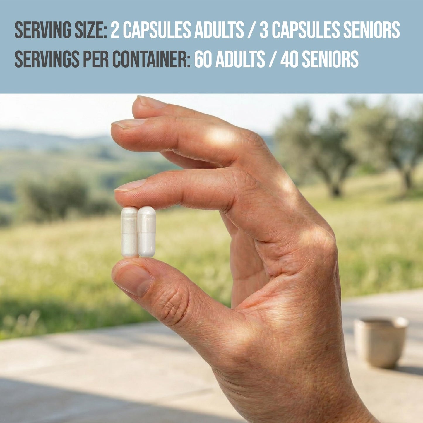 Hampton Distribution Multi-Strain Daily Probiotic Capsule 120 Capsules