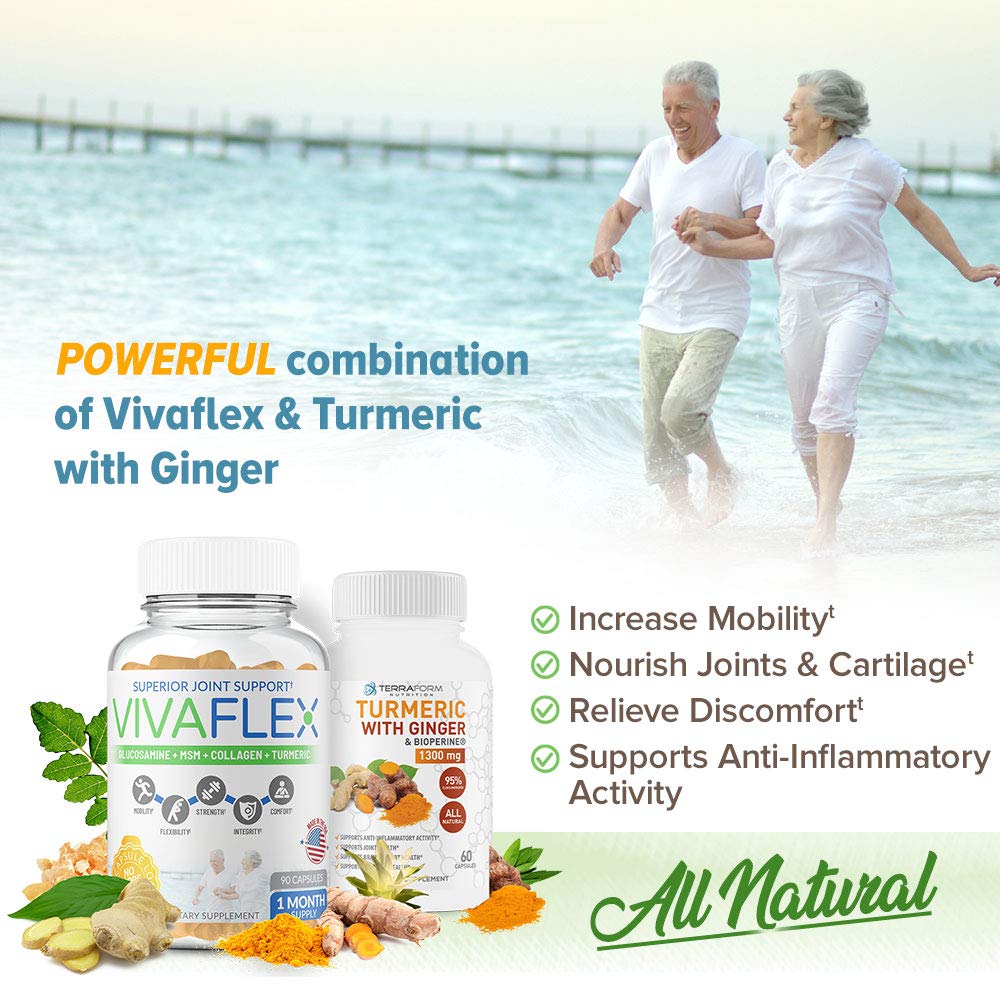 TerraForm Nutrition Joint Relief Combo Pack Vivaflex Plus Turmeric Curcumin with Ginger Capsules, 120 Count