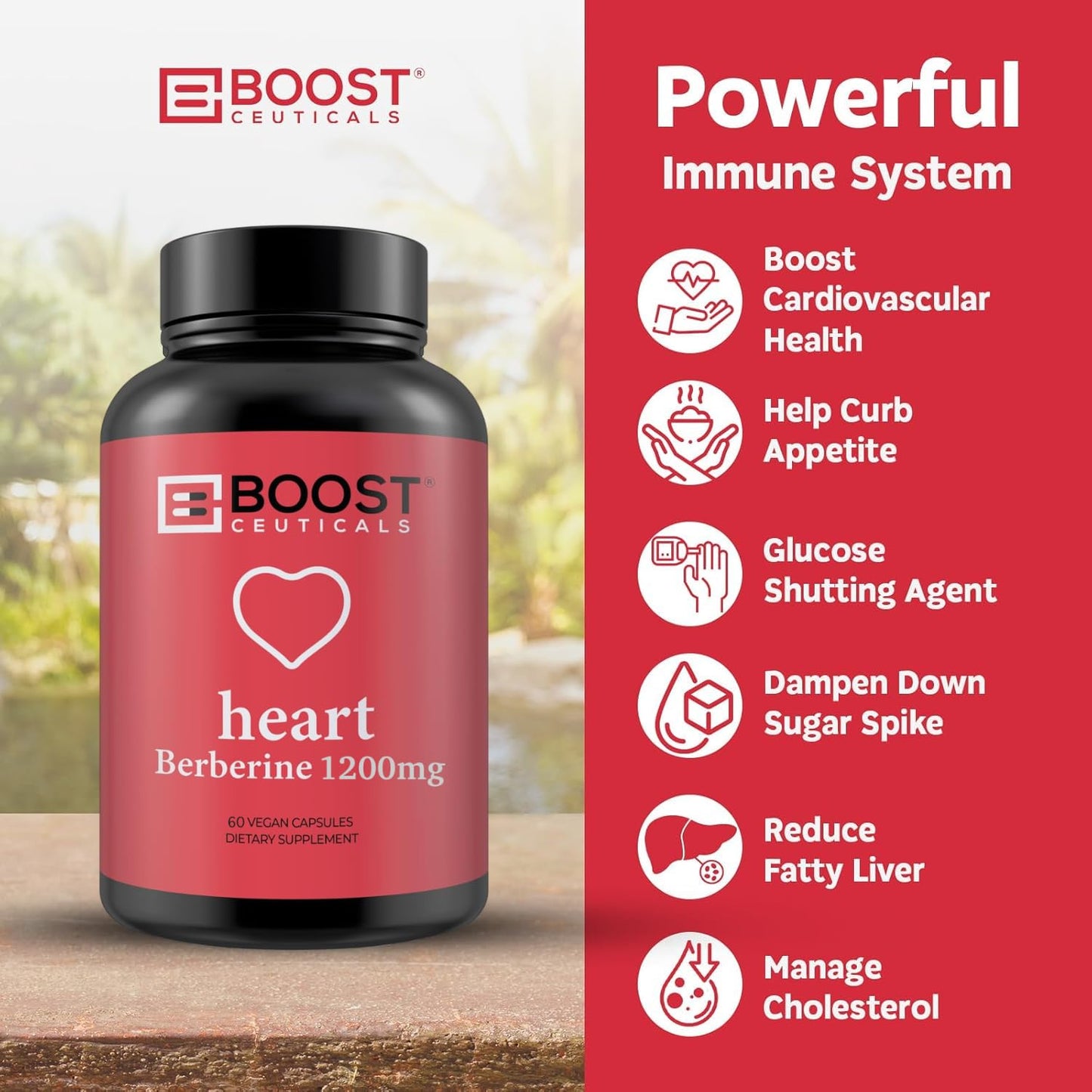 BoostCeuticals Berberine Supplement 1200mg (2 x 600mg) - Berberine HCl Vegan Capsules - Daily Wellness Support - Gluten Free Non GMO, 60 Capsules
