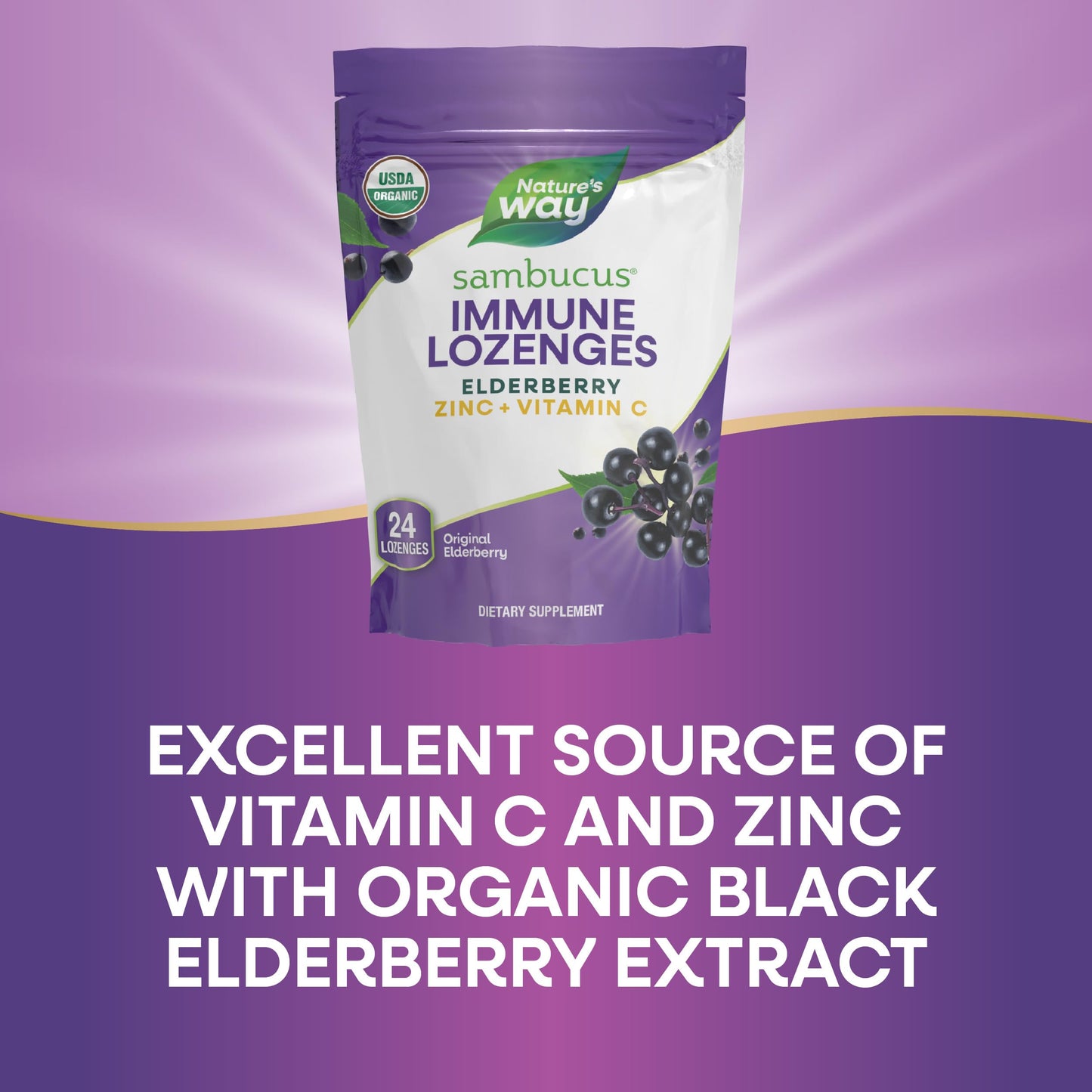 Nature's Way Organic Sambucus Elderberry Zinc Tablet 72 Count
