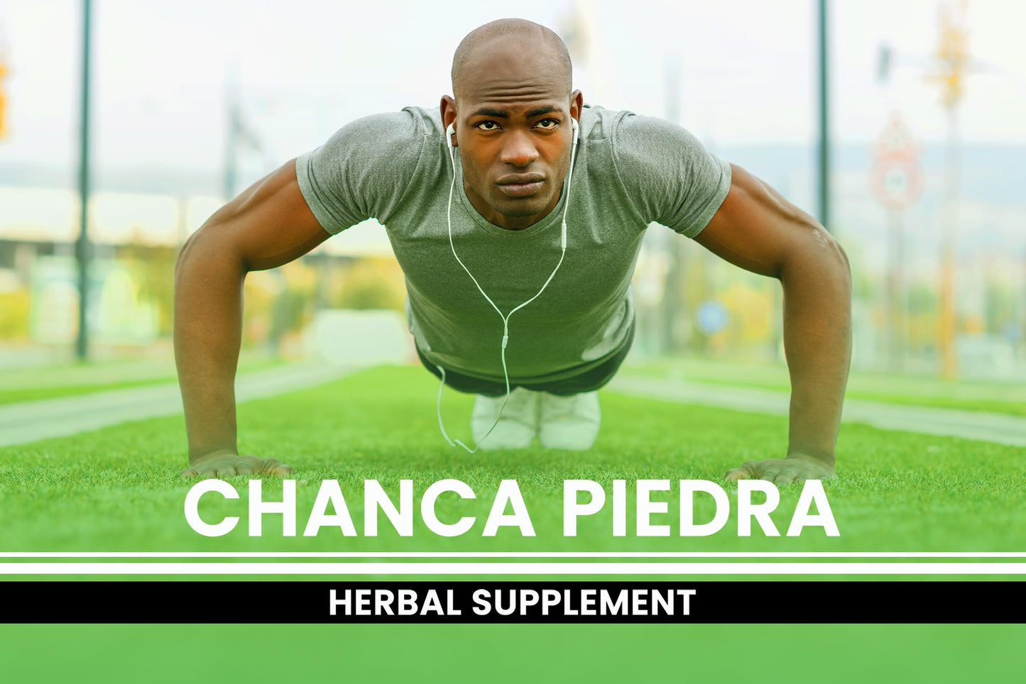 Pure Original Ingredients Chanca Piedra 365 Capsules