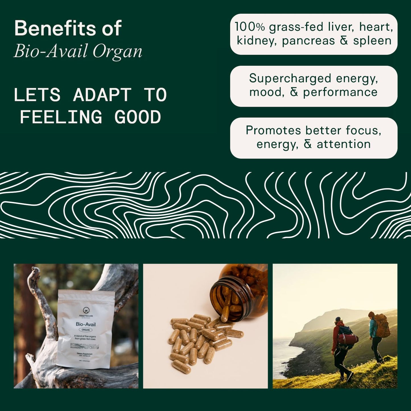Adapt Naturals by Chris Kresser Beef Organ Supplement Capsules 180 Count