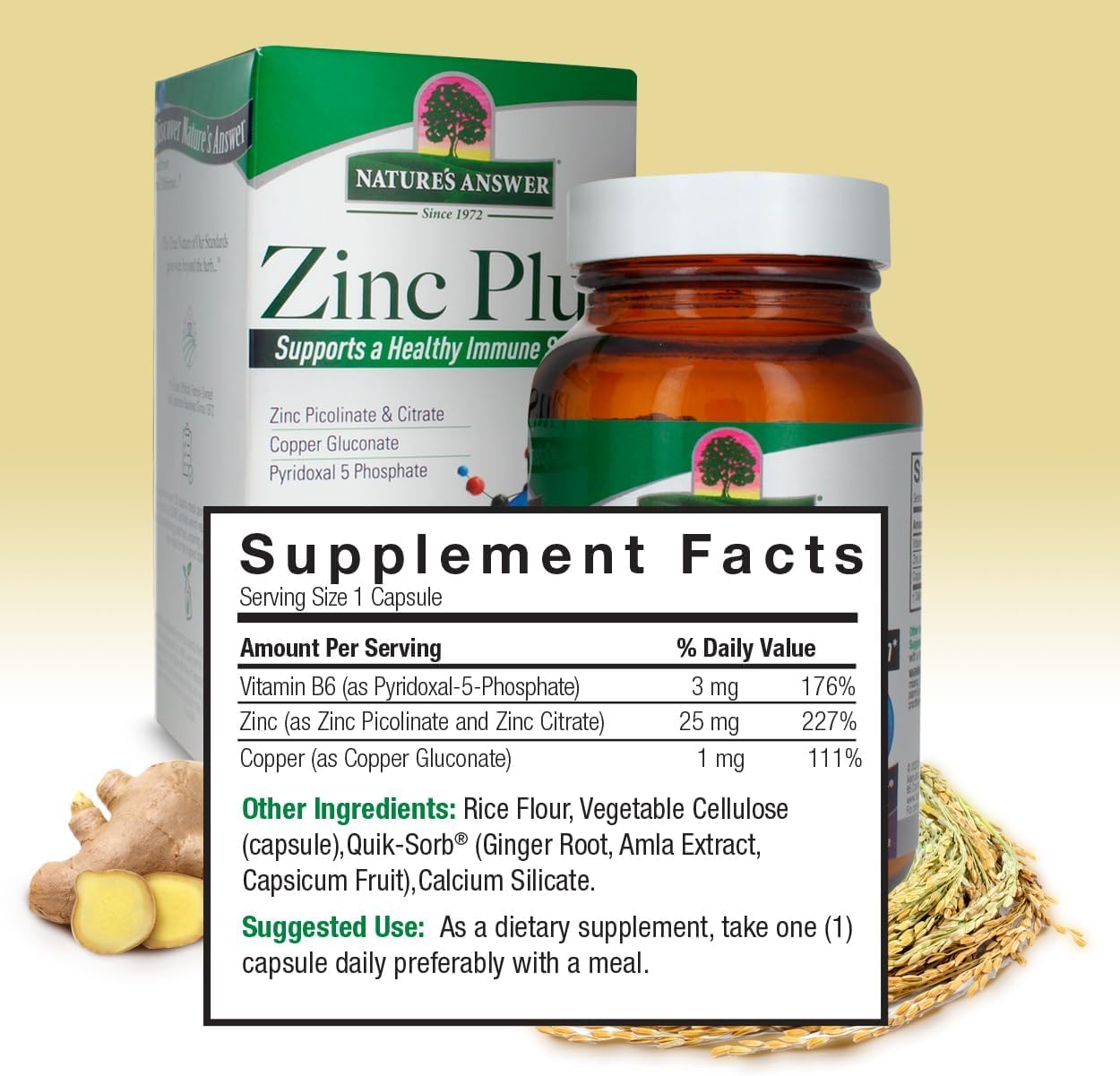 Nature's Answer Zinc Plus + Vitamins for Adults Immune Support with B6 Capsules, 60 Count