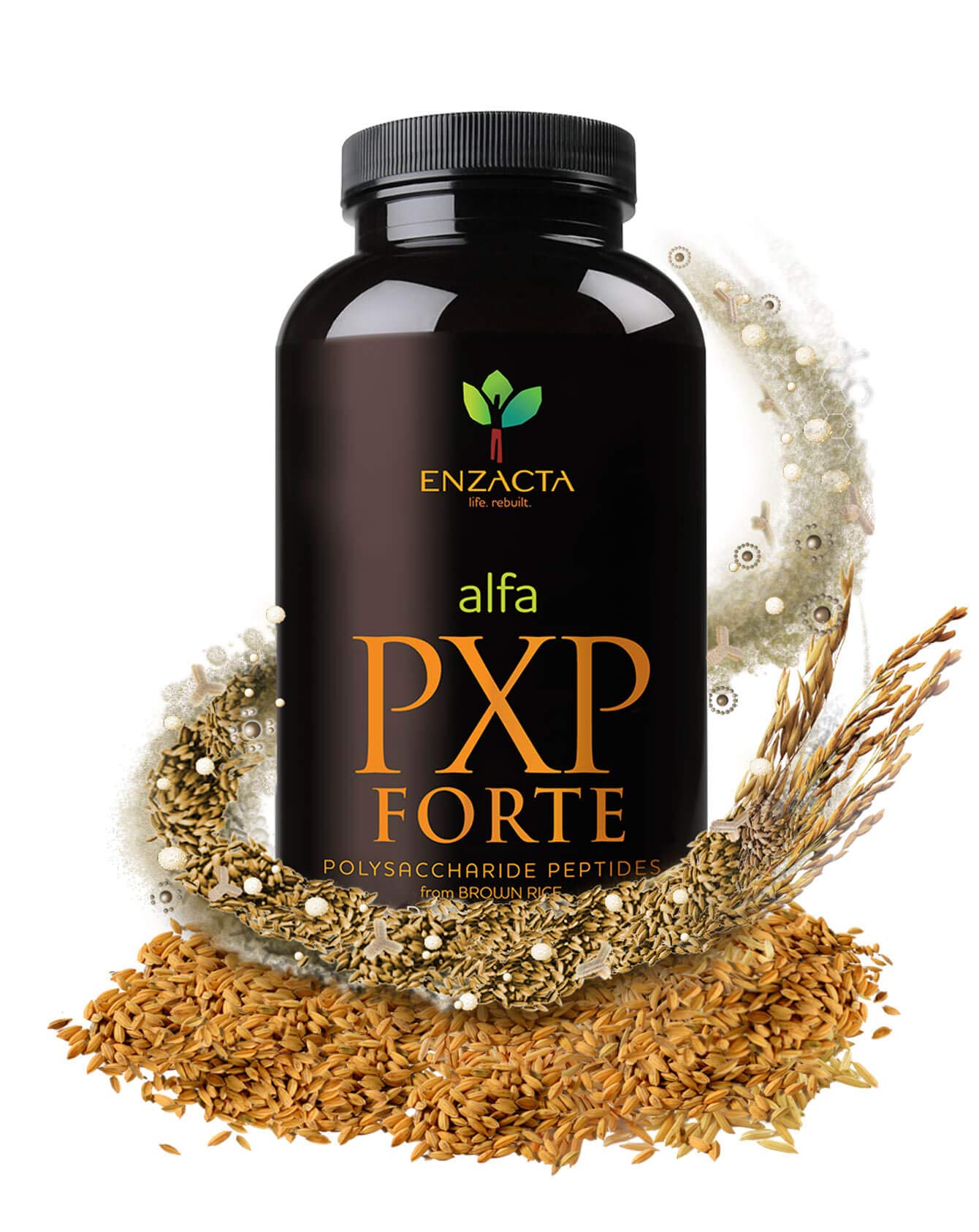 Enzacta Alfa PXP Forte Powder 16 oz