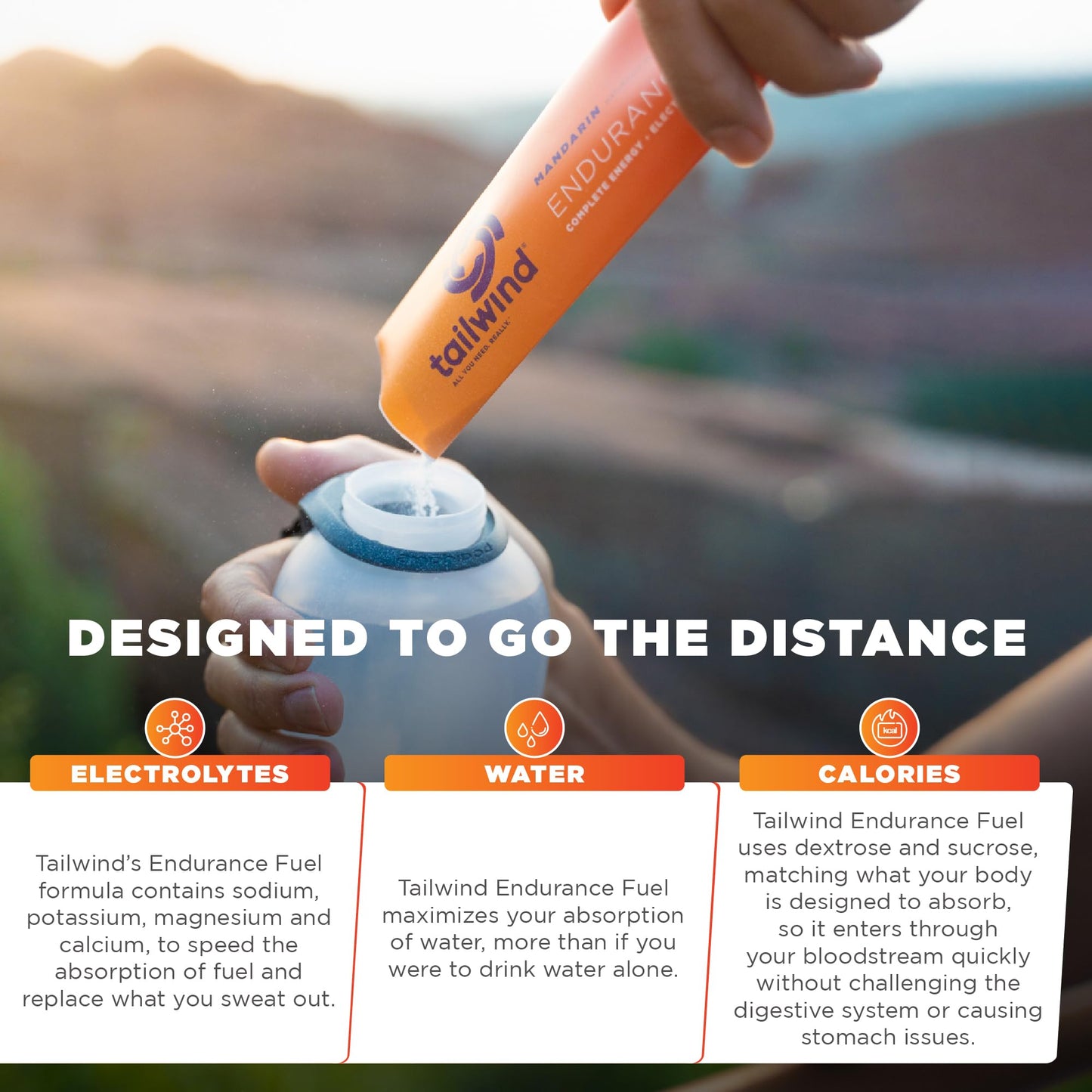 Tailwind Nutrition Endurance Fuel Powder 29 Servings