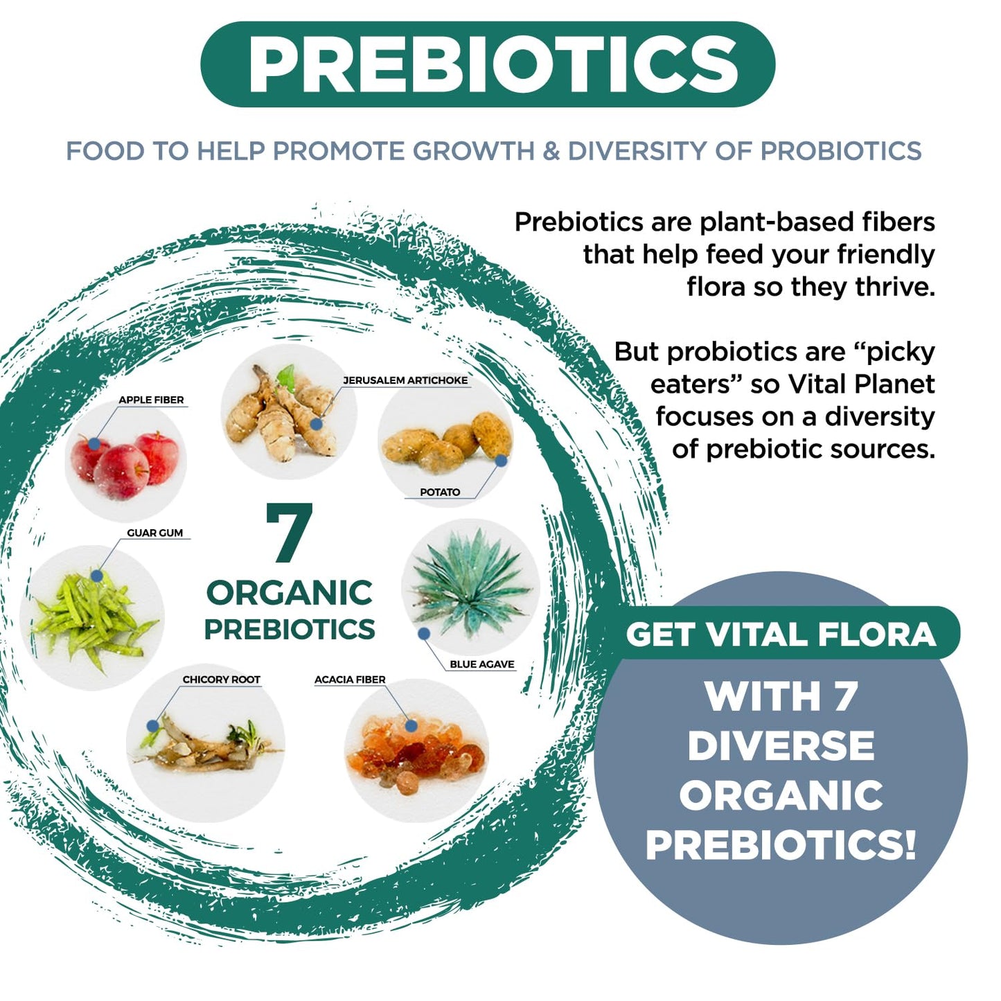 Vital Planet Vital Flora Immune Support Probiotic Capsules, 60 Billion CFU, 60 Strains, 7 Organic Mushroom Blend with Prebiotics, Shelf Stable, 30 Capsules
