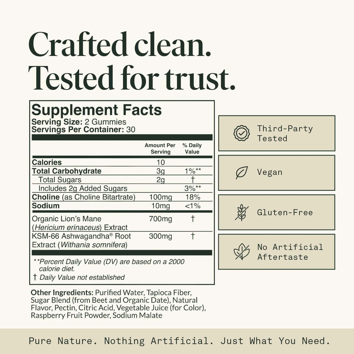 Fantastic Fungi Organic Mushroom Gummies for Focus & Memory, Lions Mane, Choline & Ashwagandha Gummies for Adults, 60 Gummies