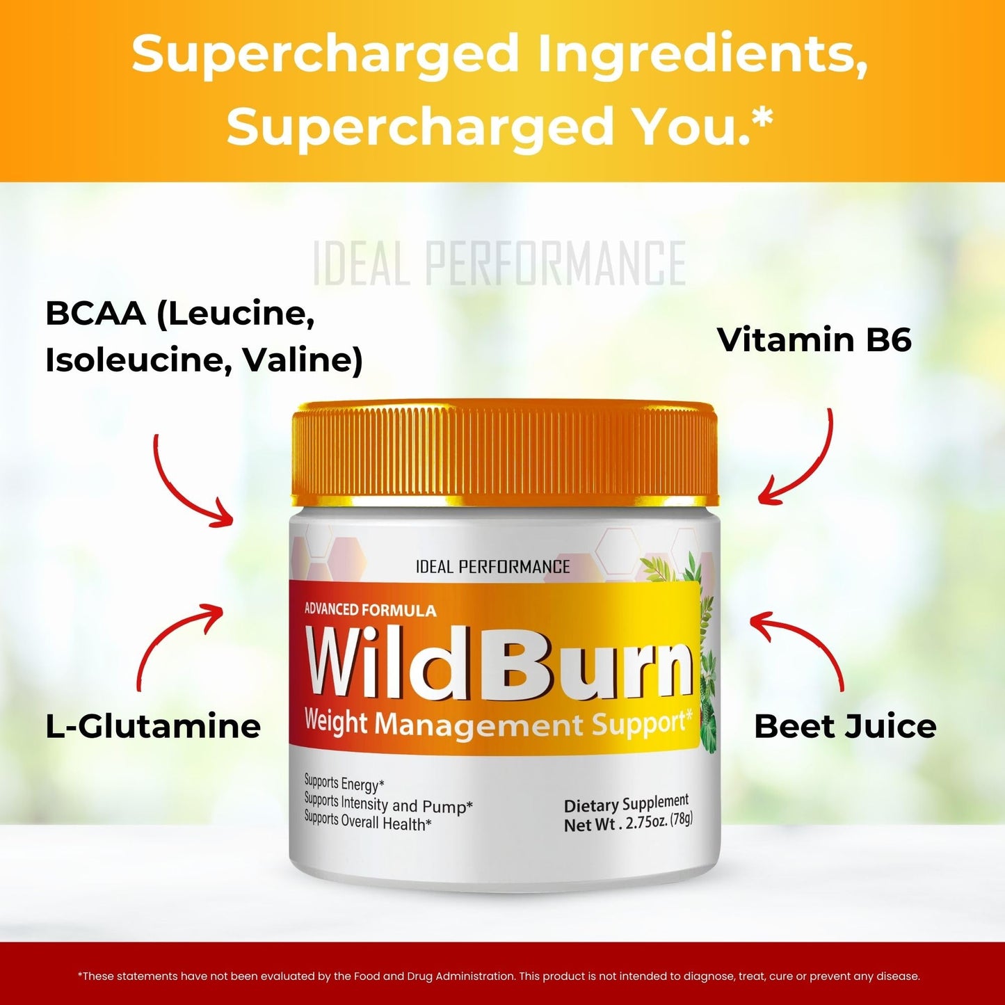 IDEAL PERFORMANCE Wild Burn Powder 2 Pack