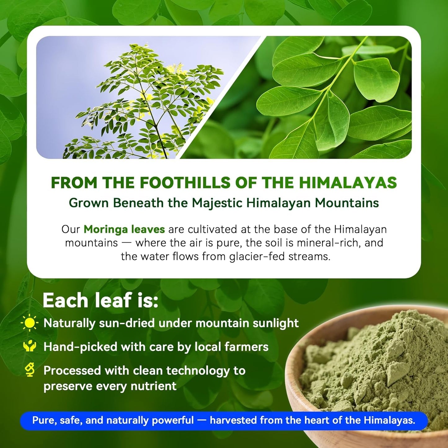 I LOVE HEALTH Moringa Capsules 1000mg – High Potency 10:1 Leaf Extract – Energy, Sleep, Immune & Gut Health Support – Vegan, Non-GMO, 60 Capsules