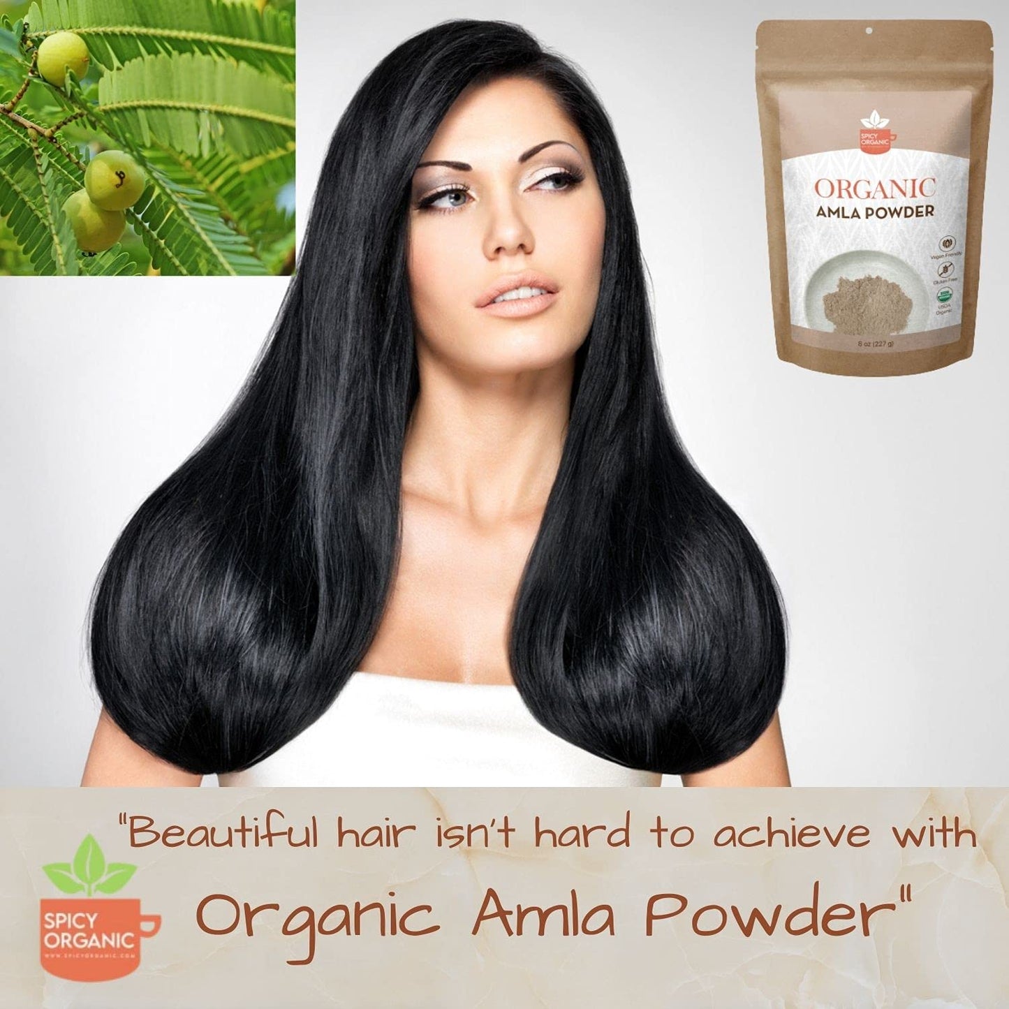 Spicy Organic Amla Powder, 4 oz