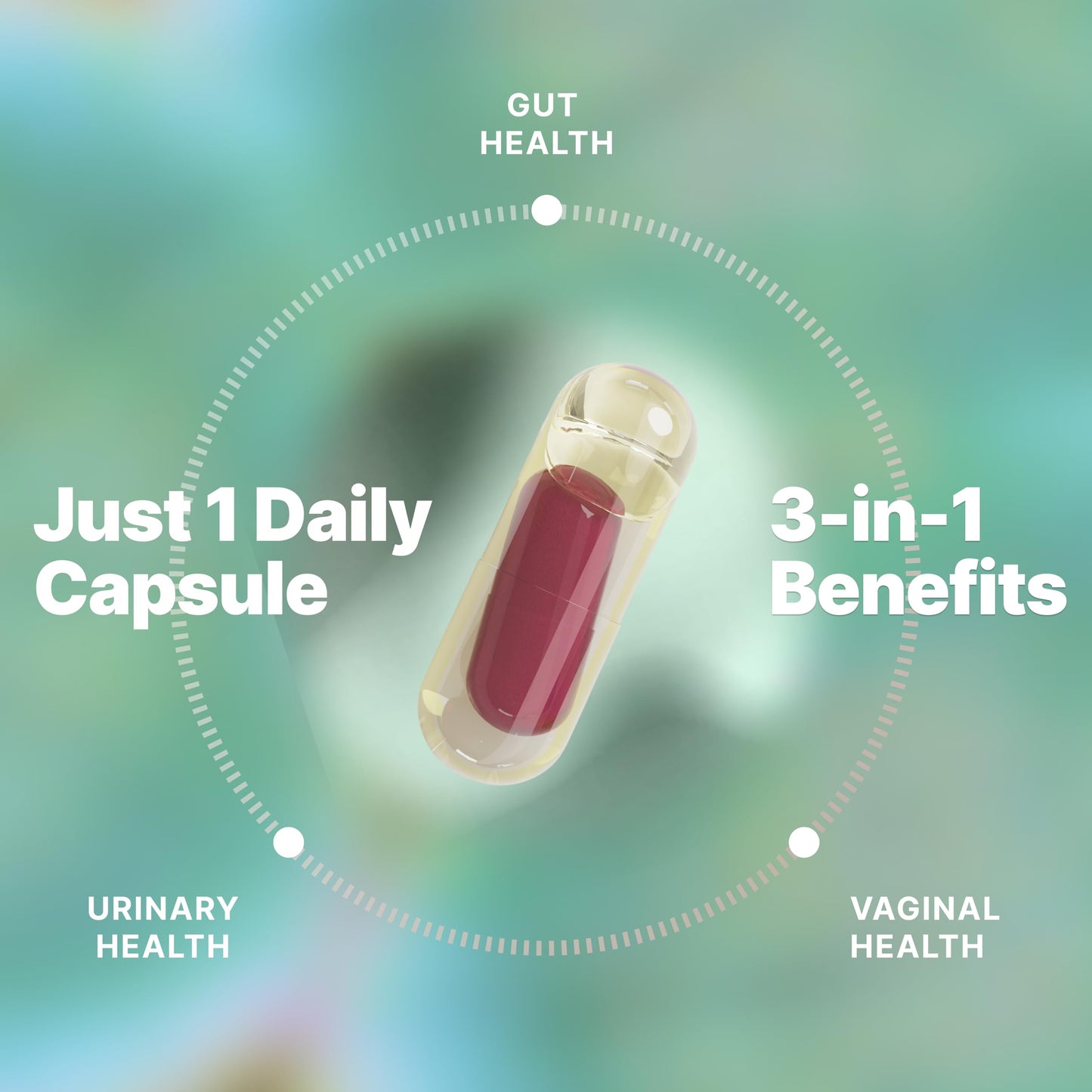 Evvy Women's 3-in-1 Probiotic Gut, Urinary & Vaginal Health, 3 Capsules