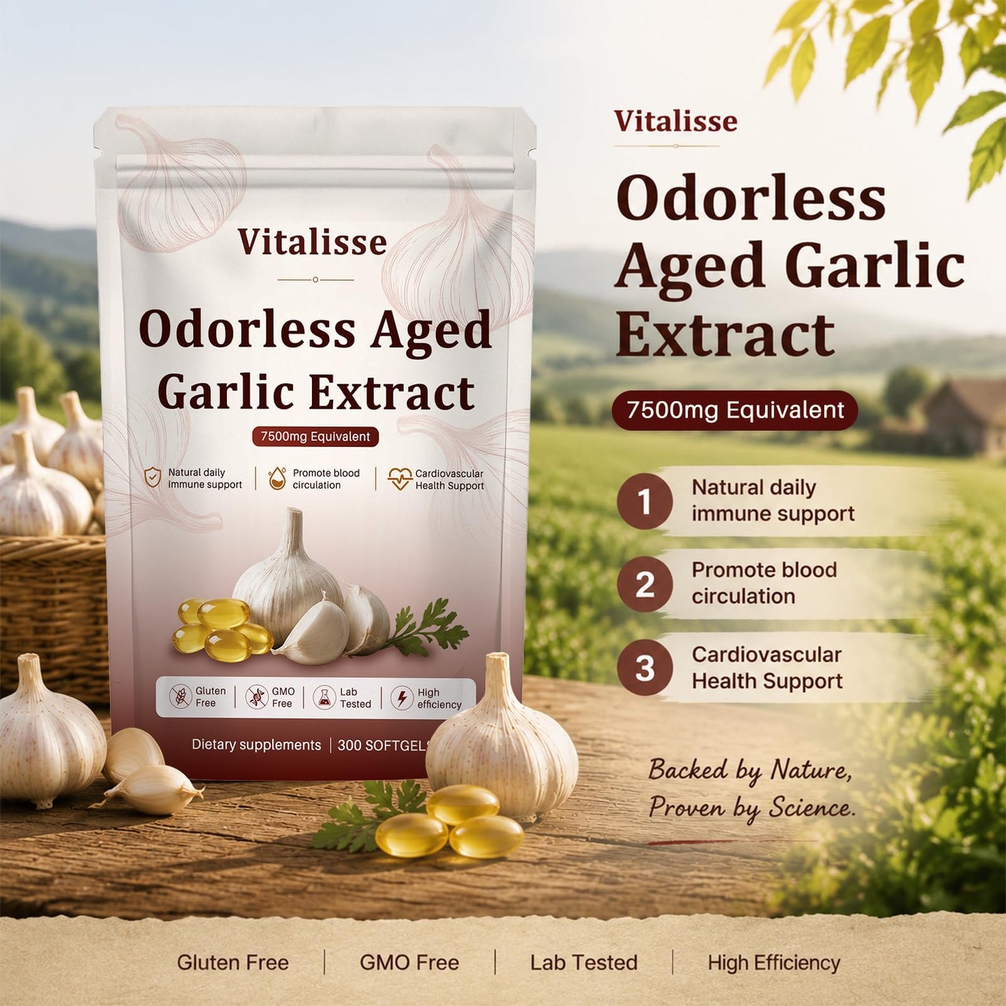 Vitalisse AJO Envejecido, 7500mg Odorless Organic Garlic Capsule, 1 Count