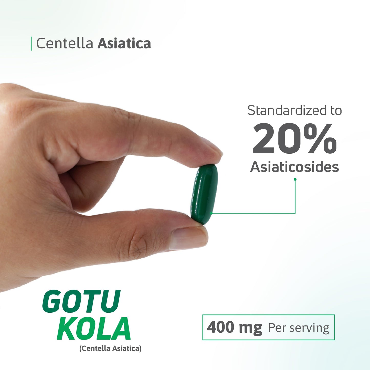 Nutra Nutrition Gotu Kola 400 mg (Centella Asiatica) – Standardized to 20% Asiaticosides – Supports Circulation, Cognitive Function & Skin Health – 60 Capsules