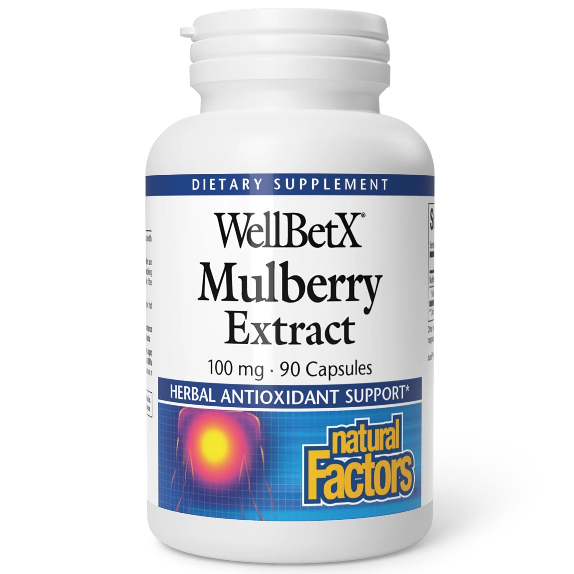 Natural Factors WellBetX Mulberry Extract 100 mg, 90 Capsules