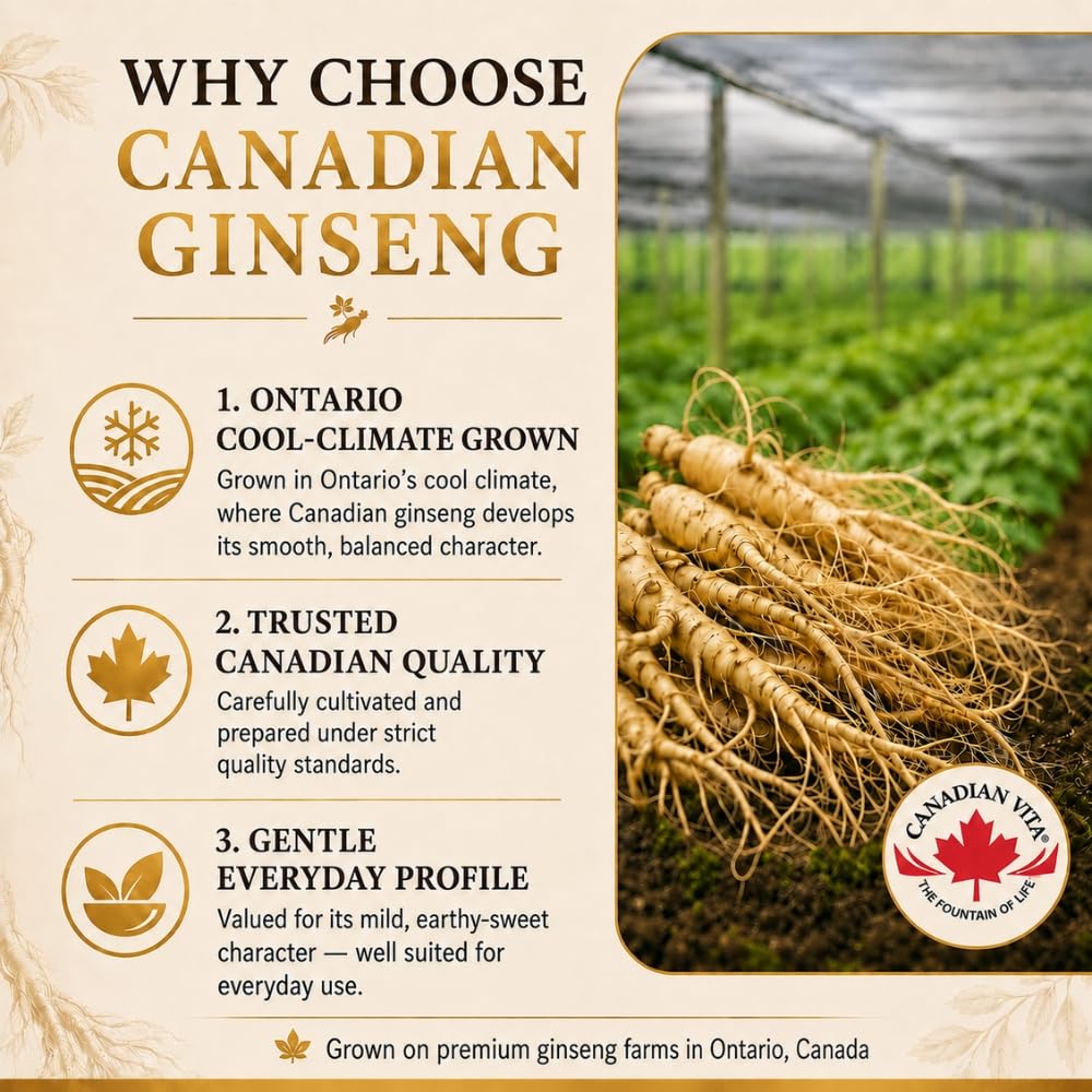 Canadian Vita Ginseng Capsules 500mg, 60 Capsules