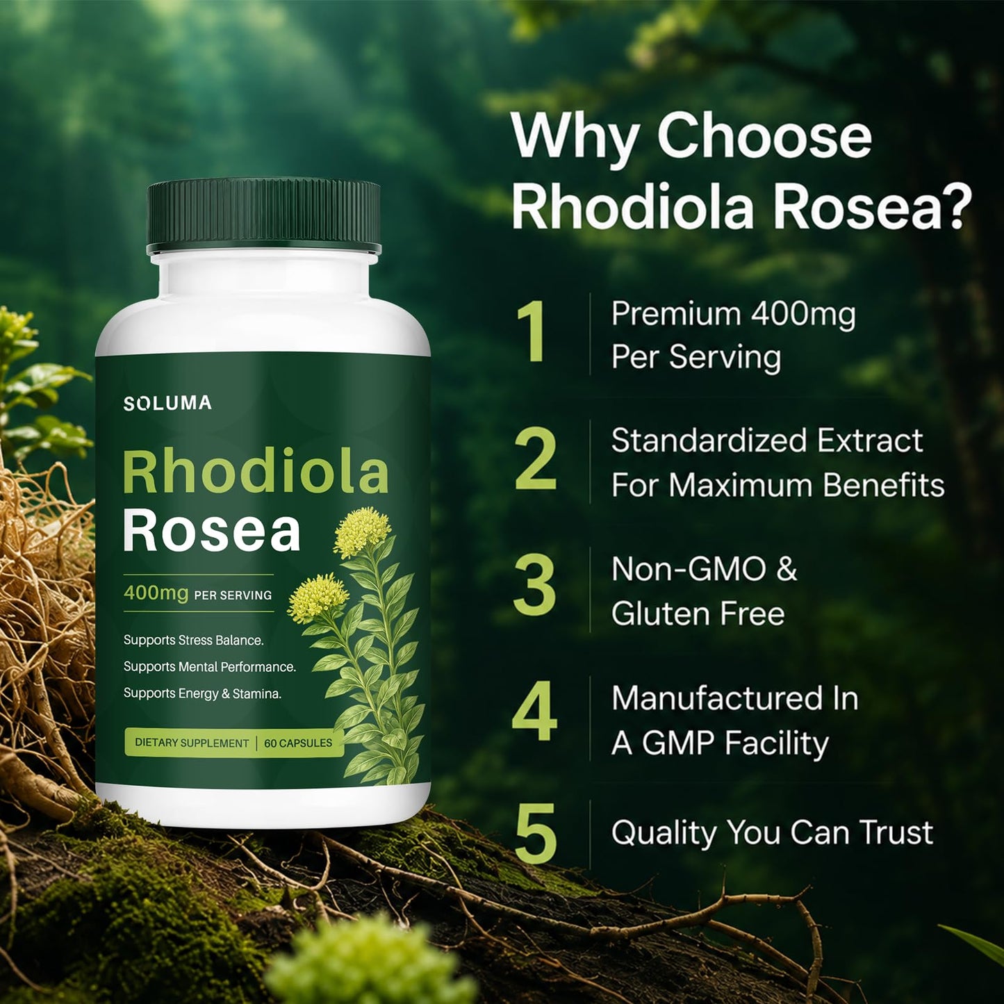 Soluma Rhodiola Rosea 400mg Capsules, Adaptogen Supplement for Stress, Focus & Energy Support, Non-GMO, 60 Capsules
