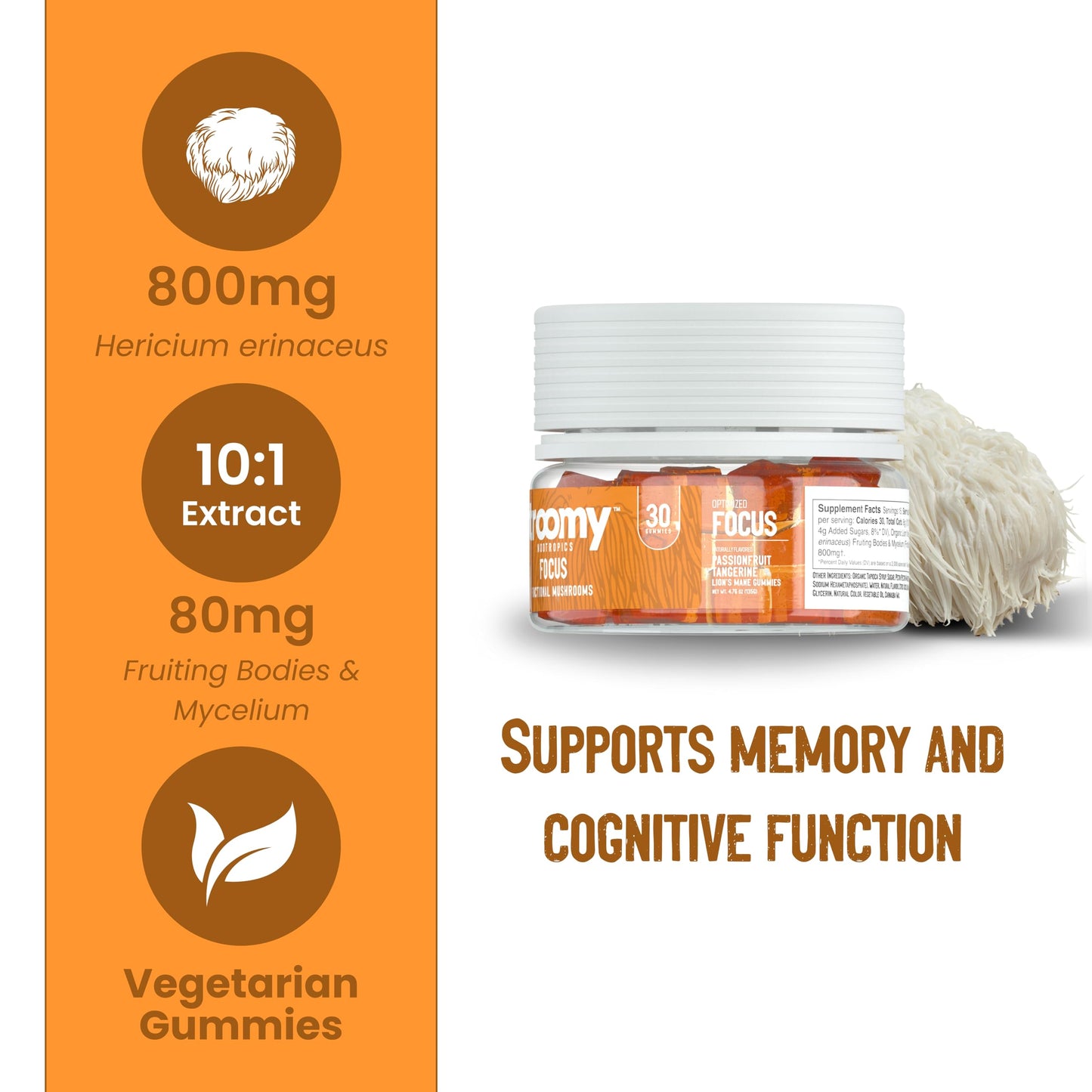 Troomy Nootropics Lion's Mane Focus Gummies, 30 Count