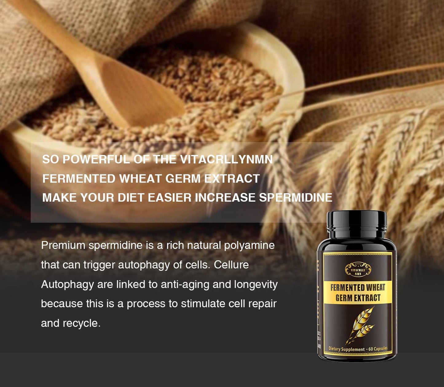 VITACRLLYNMN 1000mg Spermidine Supplements Fermented Wheat Germ Extract with Zinc 60 Capsules