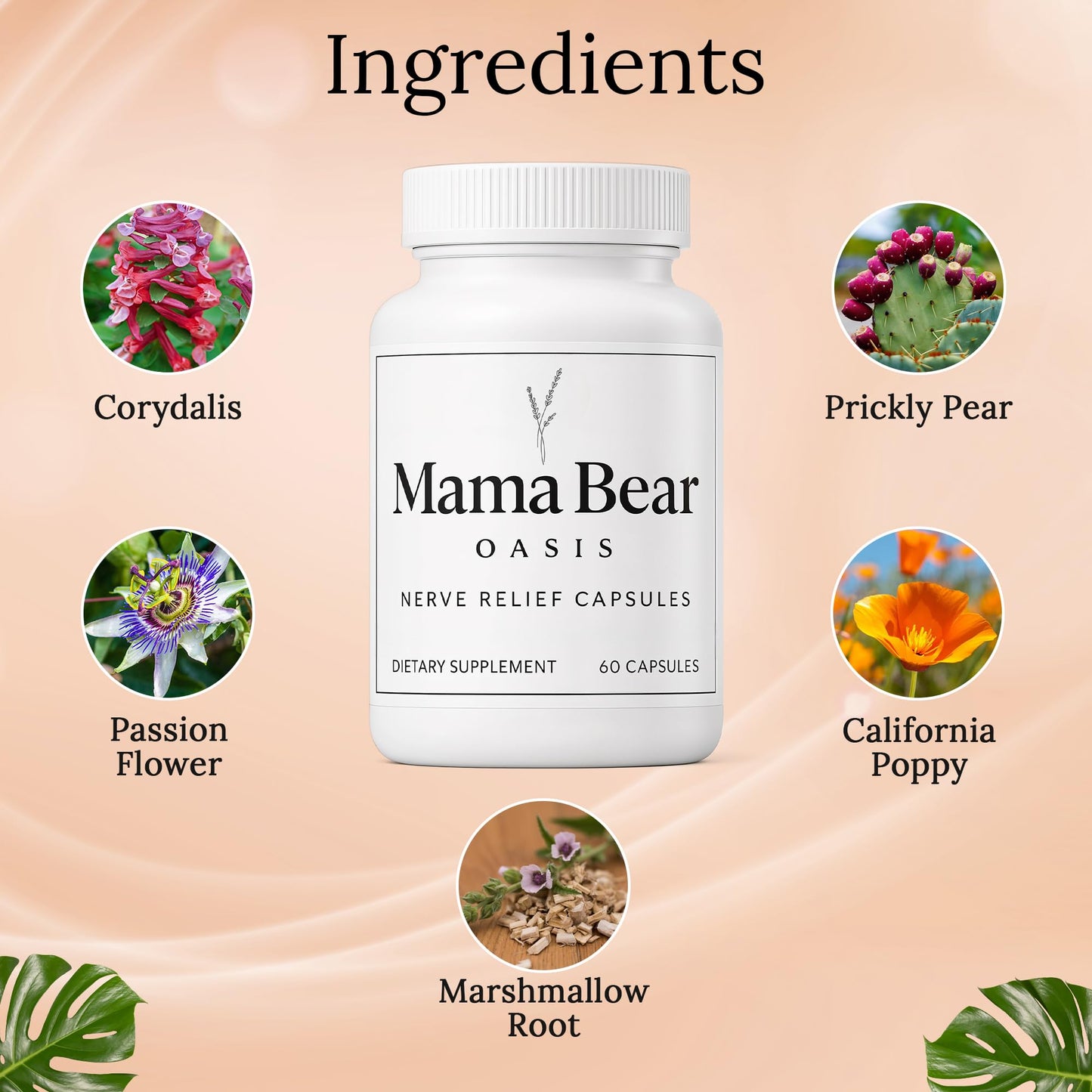 Mama Bear Oasis Nerve Support Capsules for Neuropathy, 1 Count