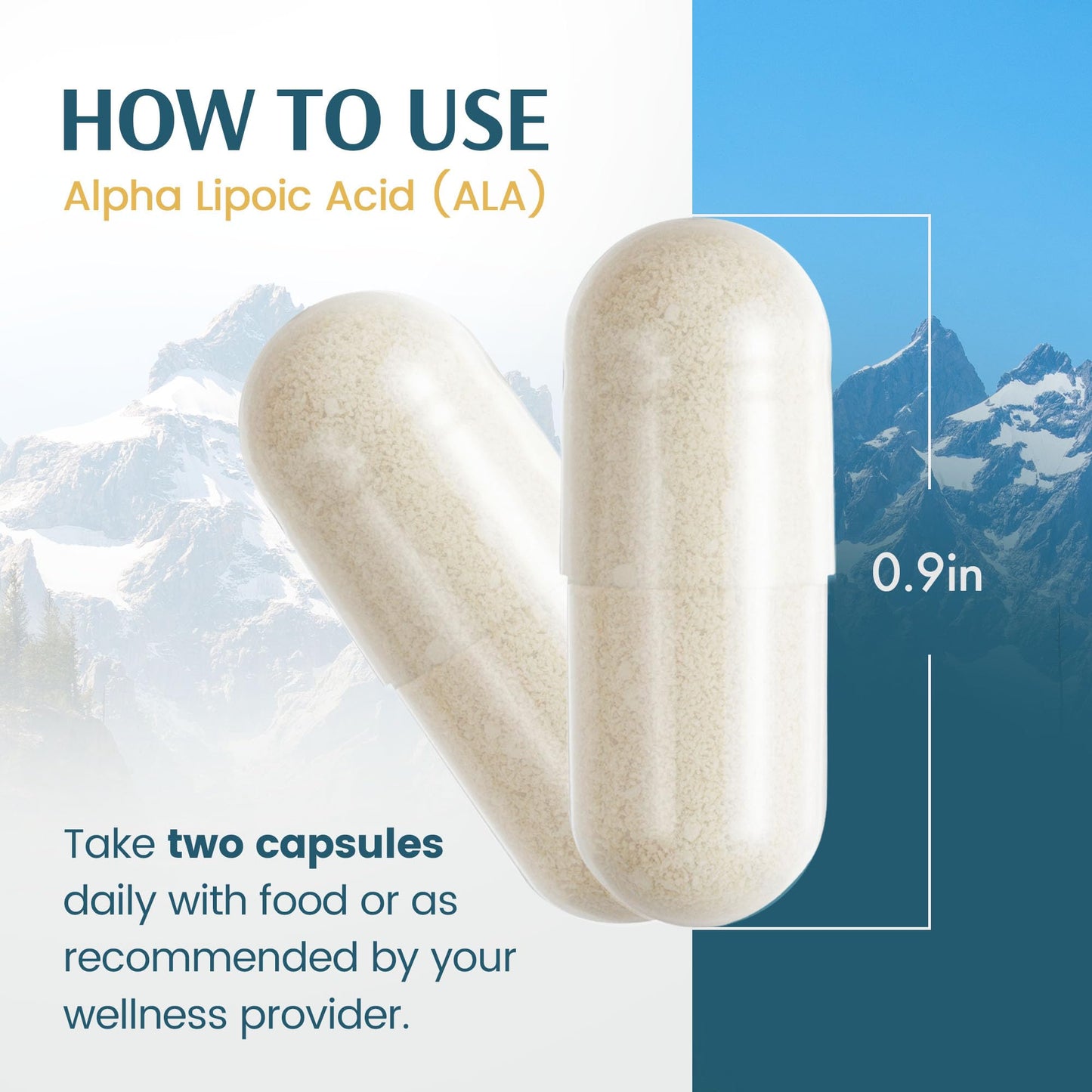 Vykee Nutrition Alpha Lipoic Acid 600 mg Capsule, 120 Count