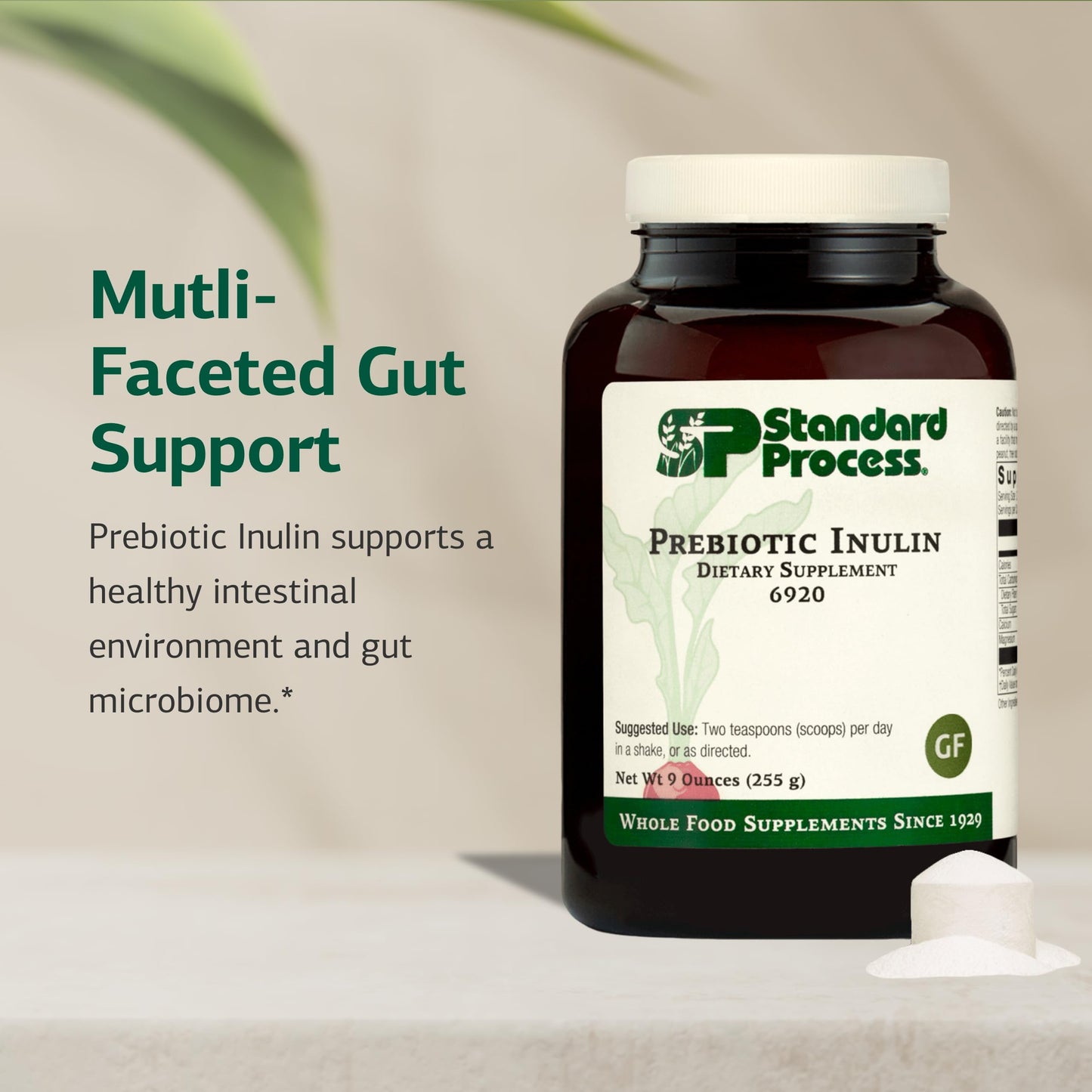 Standard Process Inc. Prebiotic Inulin Powder, 9 oz