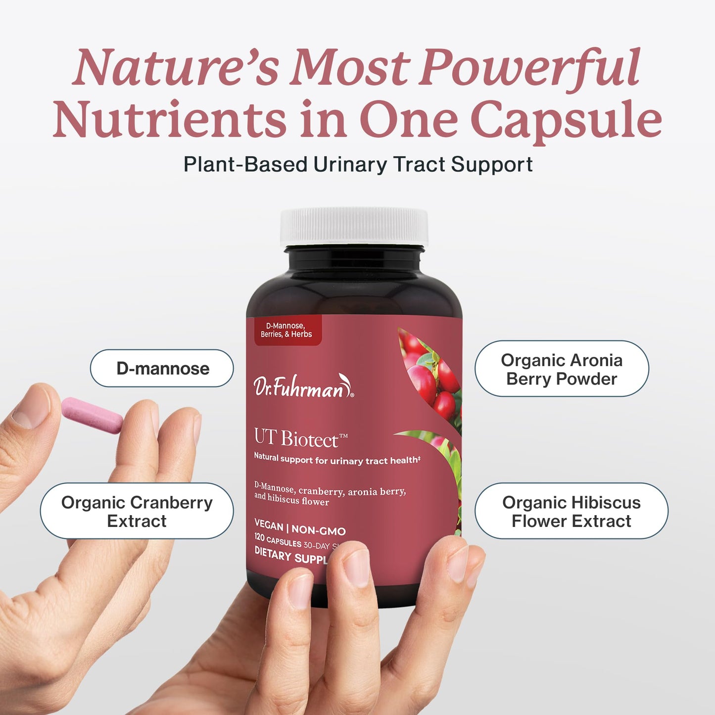 Dr. Fuhrman Ut Biotect Urinary Tract Supplement Capsule 120 Count
