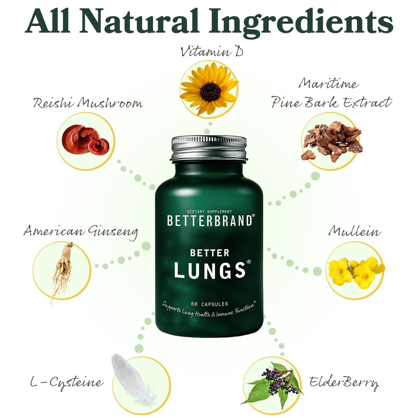 Betterbrand Better Lungs & Mushrooms Bundle Capsules & Gummies, 2-Pack