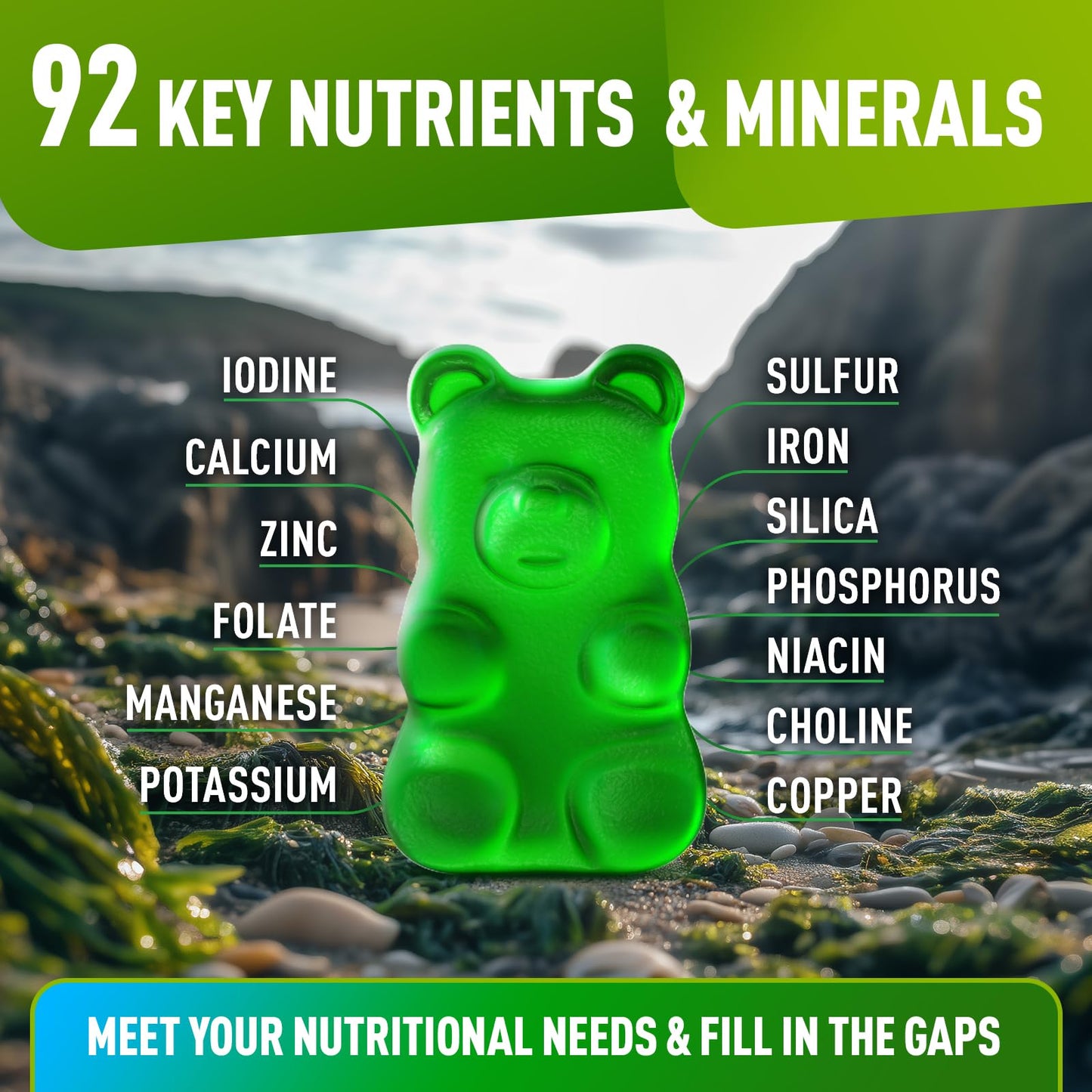 BioVit Sea Moss Gummies 60 Count