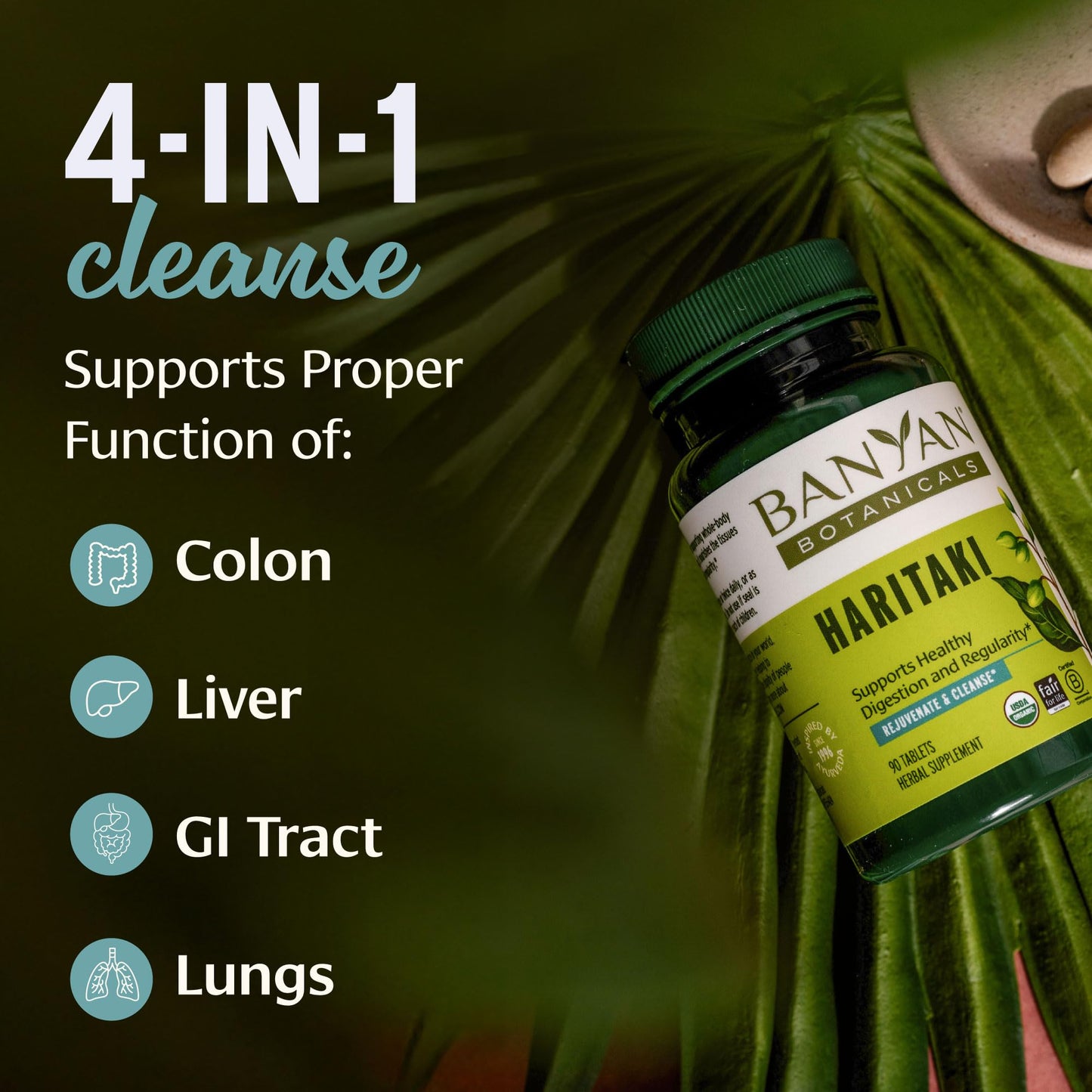 Banyan Botanicals Haritaki Tablets 90 Count