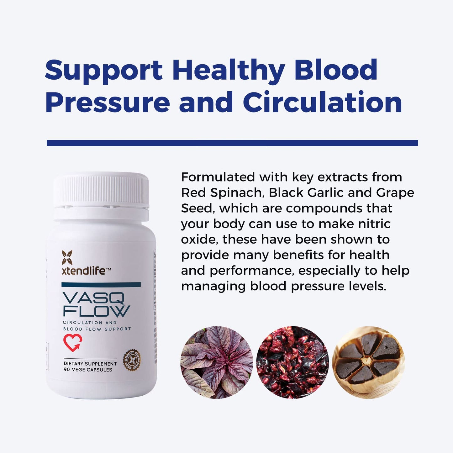 Xtendlife VasQFlow Nitric Oxide Supplement Capsules 90 Capsules