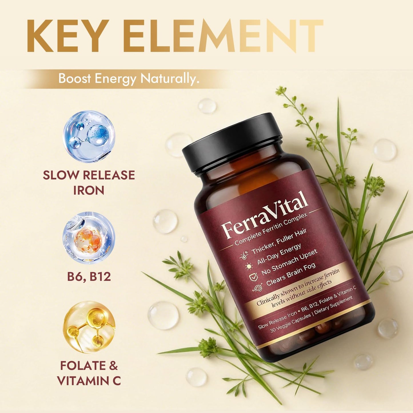 FerraVital Ferritin Supplement for Women – Supports Healthy Iron & Energy Levels – with Ferrous Glycine, Vitamins C, B12, B6, Folate, Zinc & Probiotics – 60 Capsules
