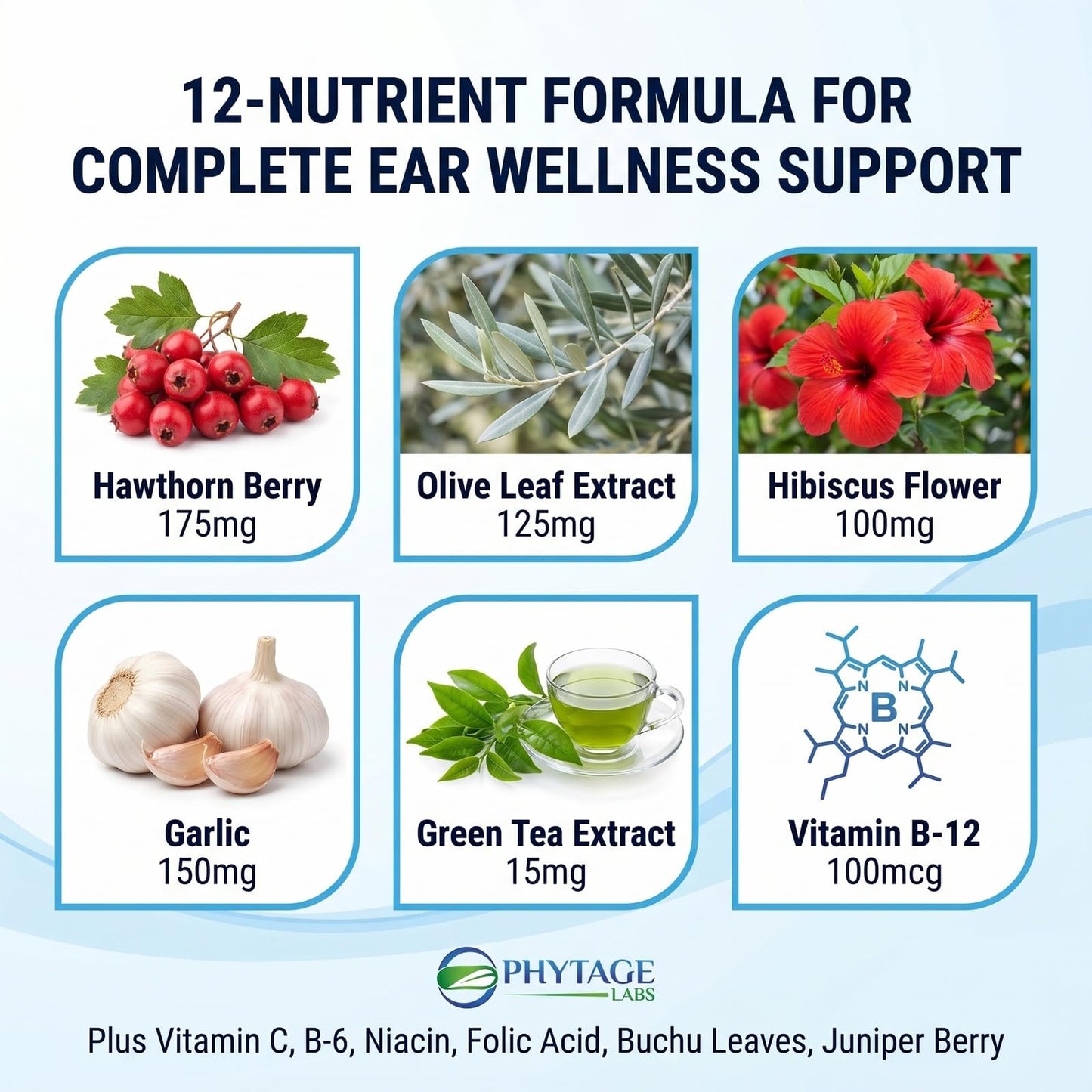 Tinnitus 911 Phytage Labs Advanced Ear Ringing Relief Supplement – Daily Auditory Support Formula with Vitamin B12, Hawthorn Berry, Olive Leaf & Green Tea Extract, 60 Capsules