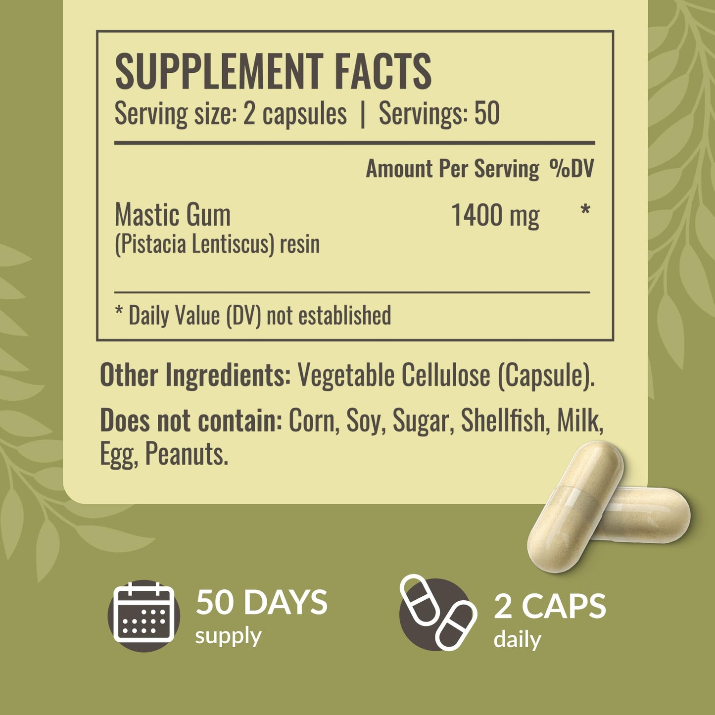 HERBAMAMA Mastic Gum Capsules 1400mg, 100 Count