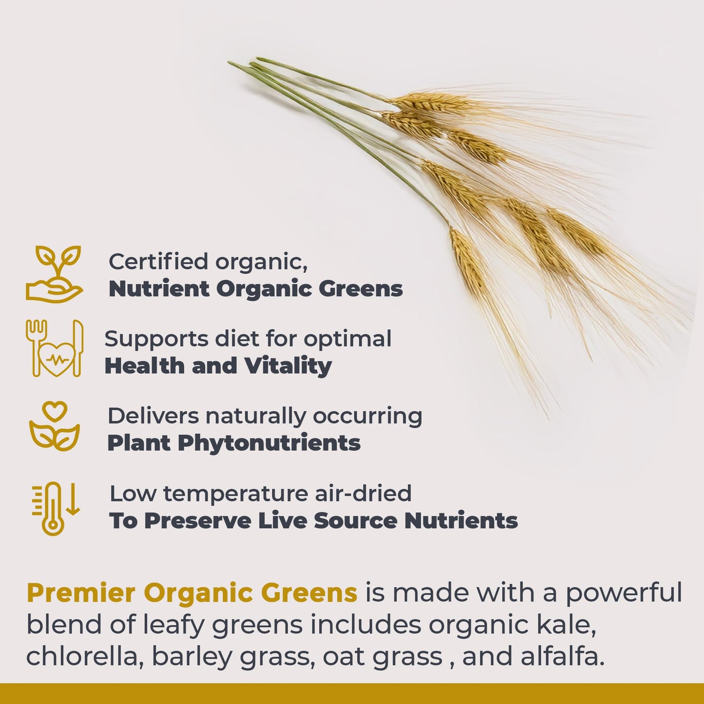 Premier Research Labs Premier Organic Greens Super Greens Powder, 10 oz