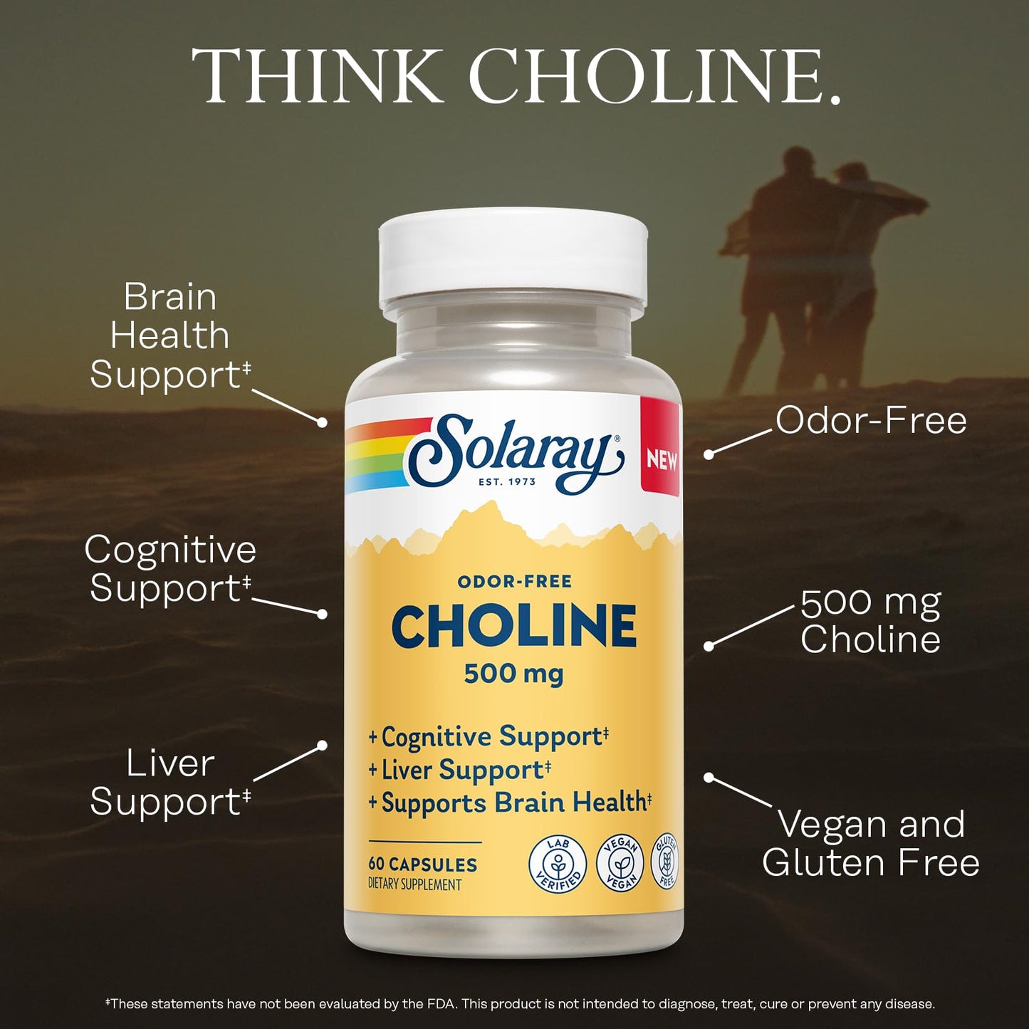 Solaray Choline 500 mg Capsule, 60 Count